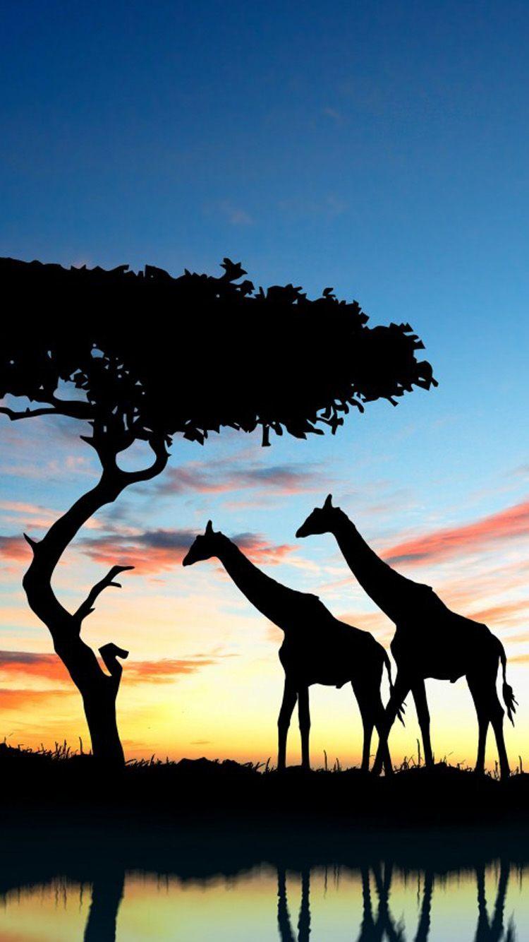 Africa Wallpaper 66 pictures