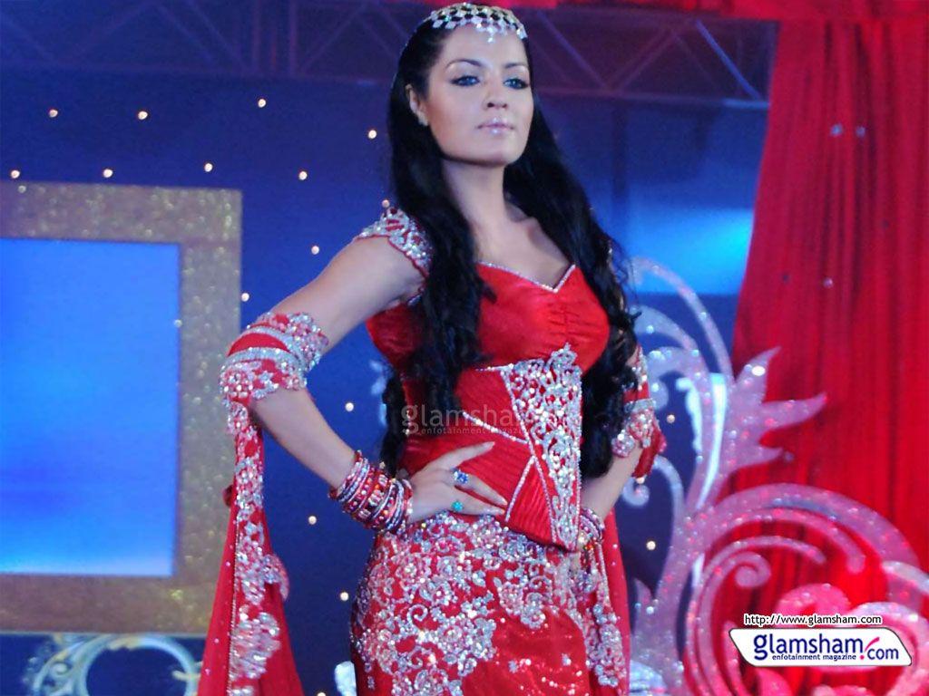 1024x768 Celina Jaitley Actresses wallpaper