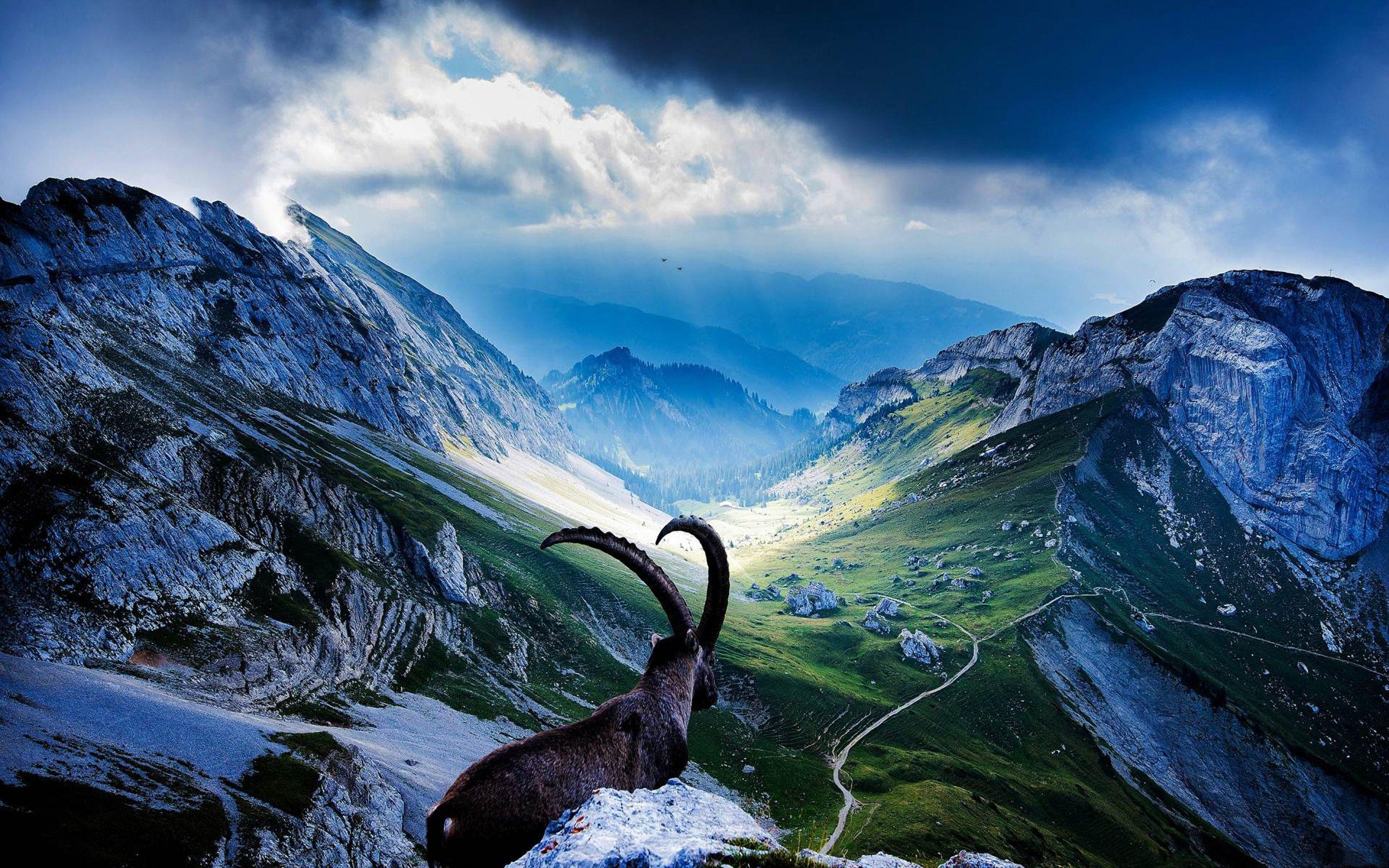 2880x1800 Rocky Peaks Goat Green Meadows With Grass Dark Clouds Mount Pilatus