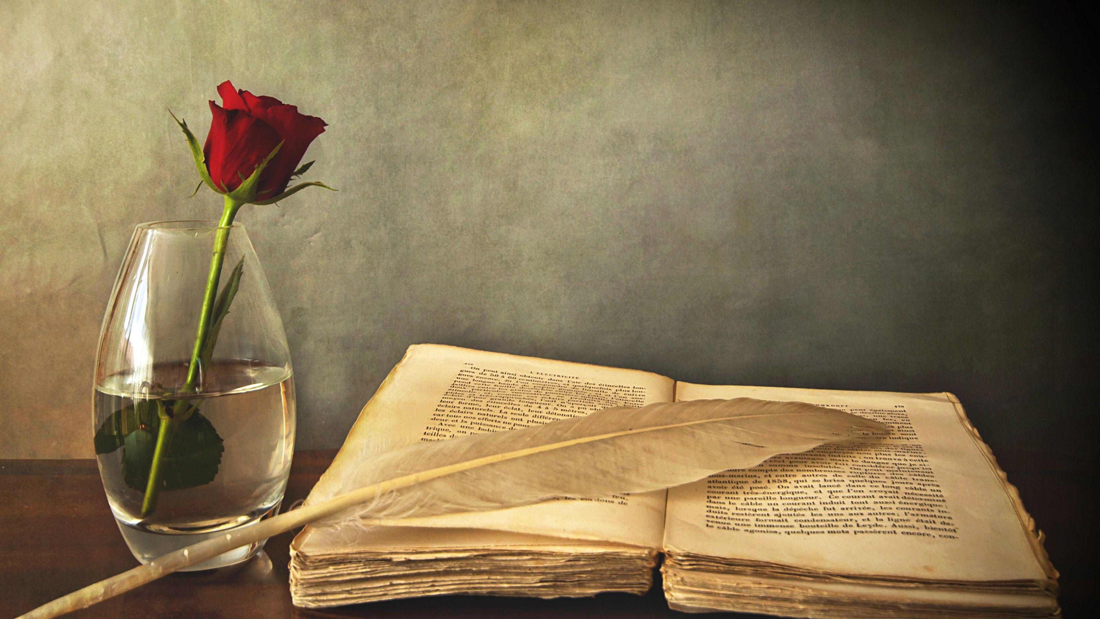 Still Life Wallpapers - Top Free Still Life Backgrounds - WallpaperAccess