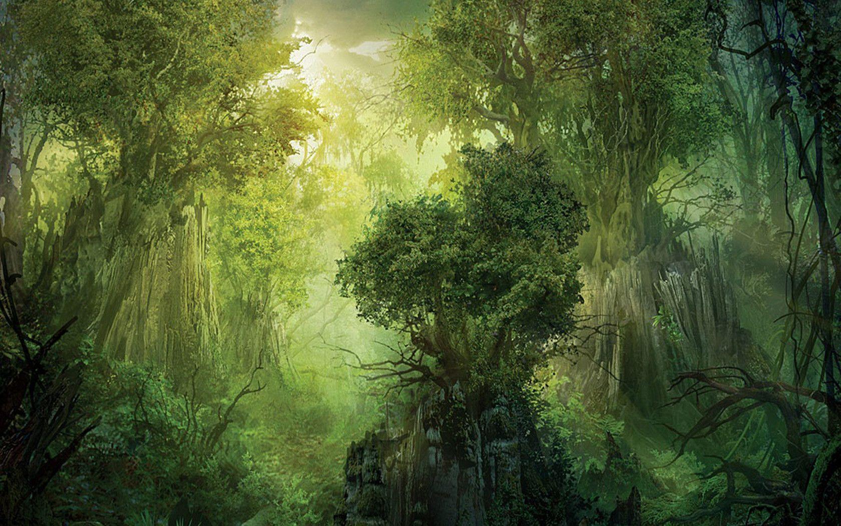 Featured image of post Fantasy Green Forest Wallpaper : The great collection of fantasy forest wallpaper hd for desktop, laptop and mobiles.