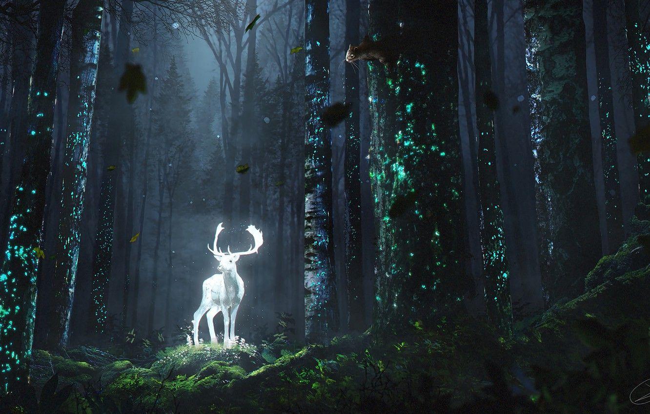 Fantasy Forest Wallpaper HD Fantasy 4K Wallpapers Images and Background   Wallpapers Den