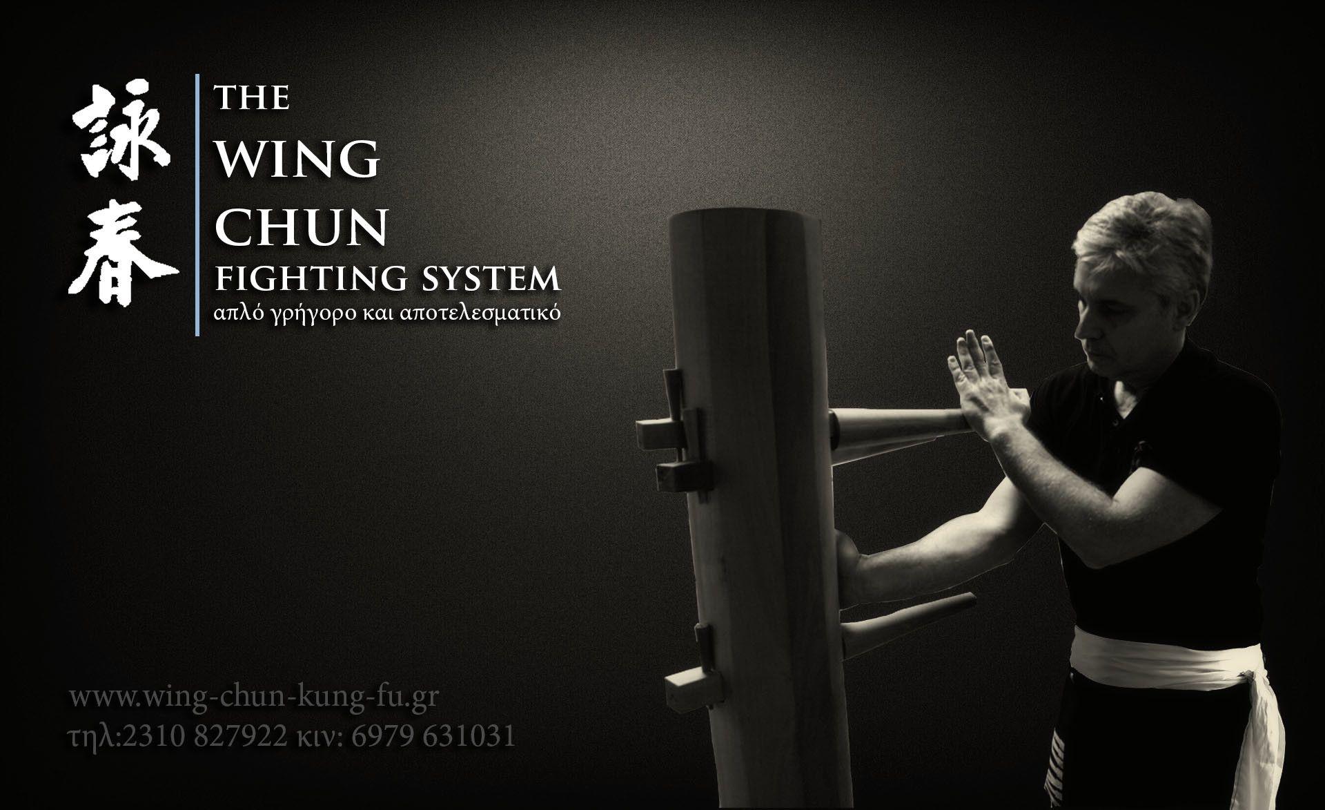 1920x1173 Wing Chun Wallpaper