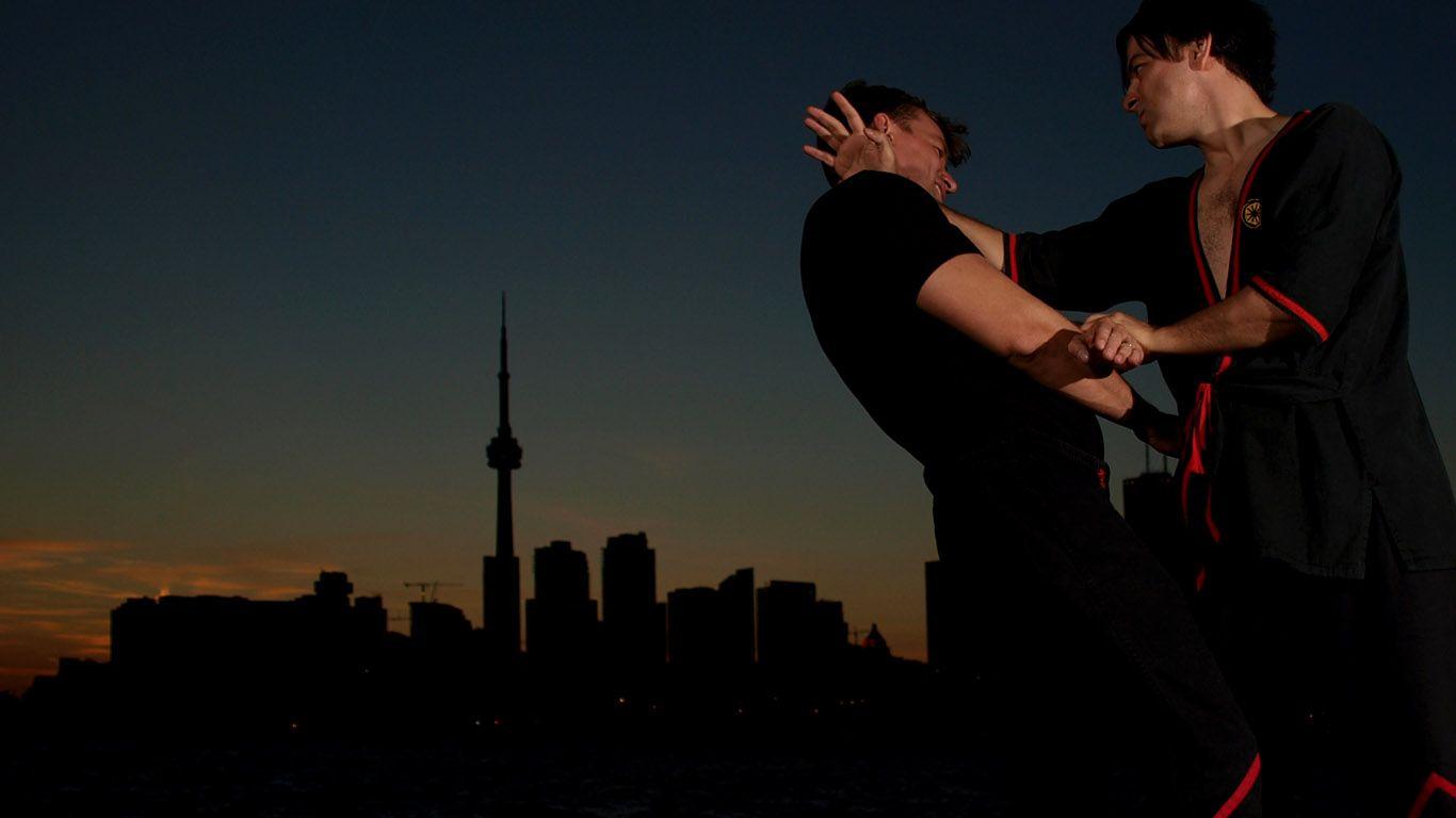 1366x768 Free download Wing Chun HD Wallpaper Image amp Picture