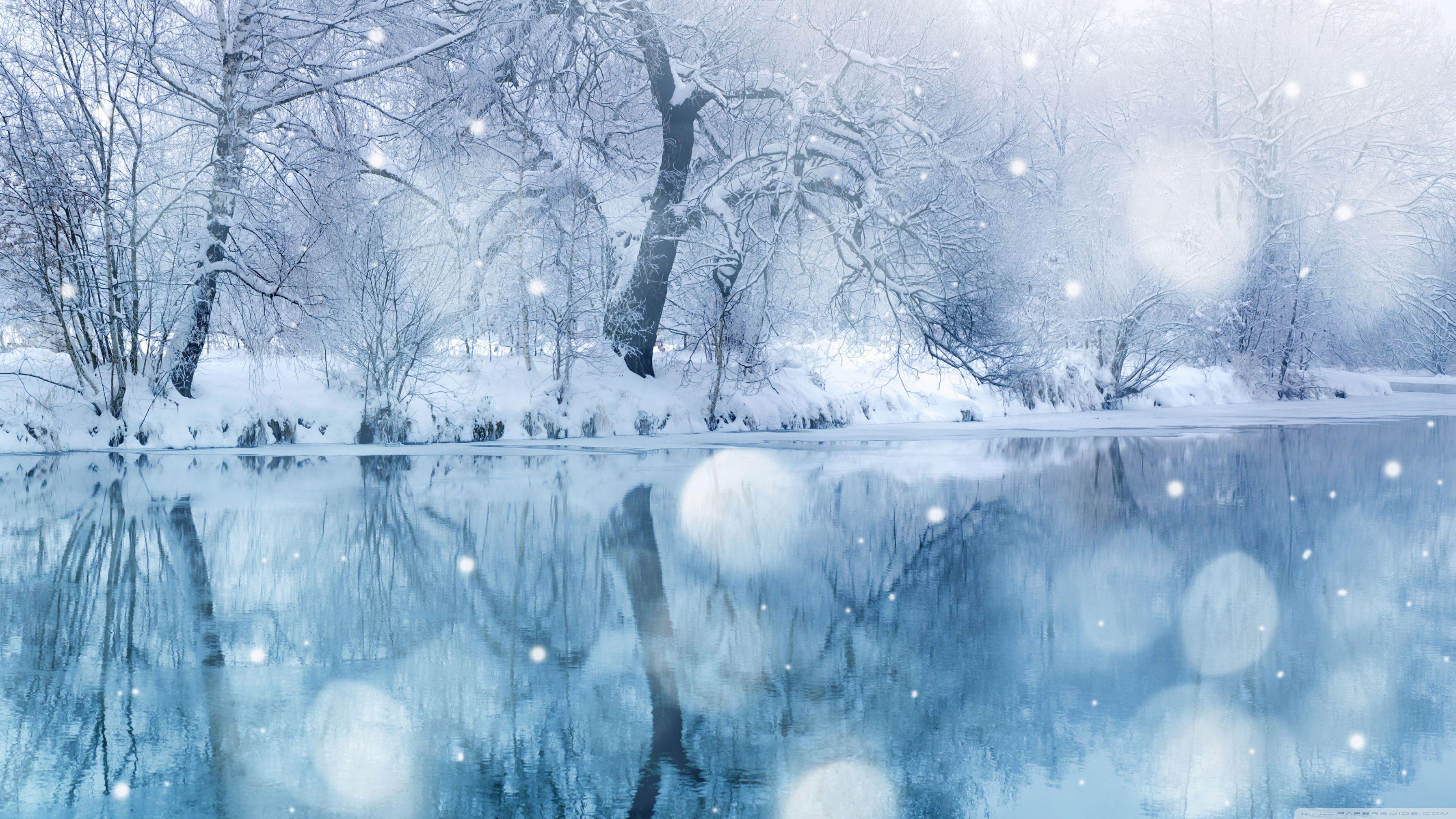 3554x1999 Winter Snow HD Wallpaper