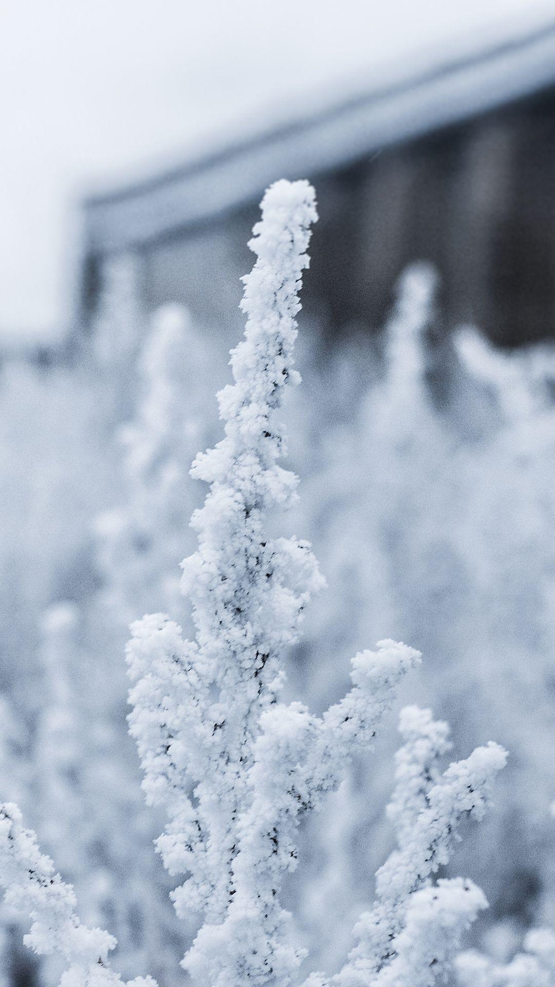 1080x1920 Snow Phone Wallpaper 2019 Calendar Background, HD