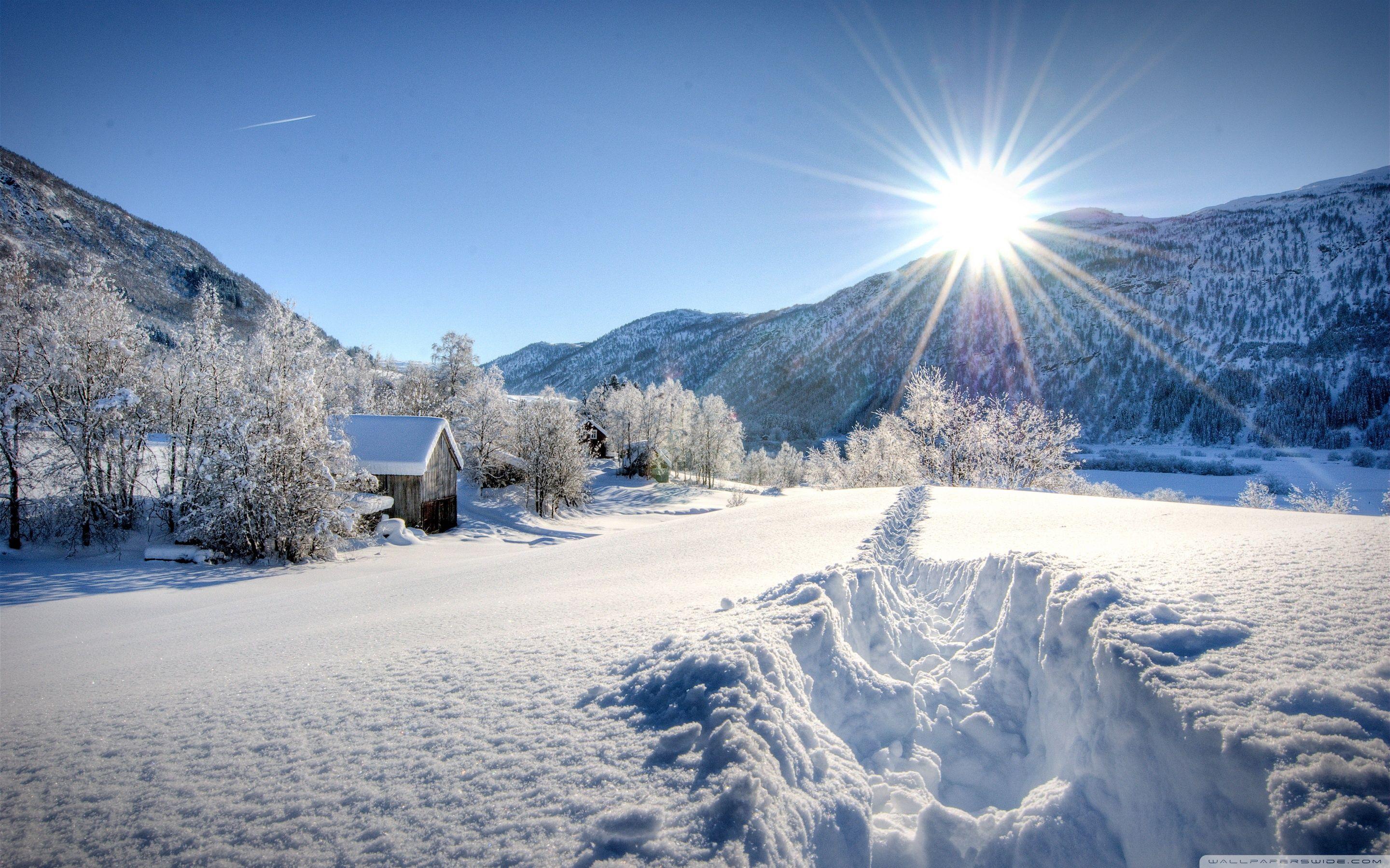 2880x1800 Path In The Snow ❤ 4K HD Desktop Wallpaper for 4K Ultra HD