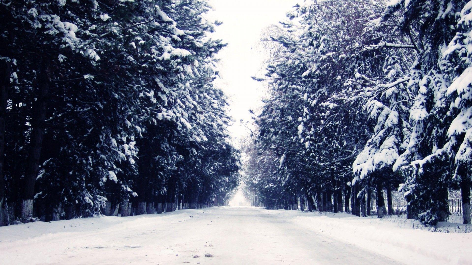 1920x1080 HD Snow Wallpaper