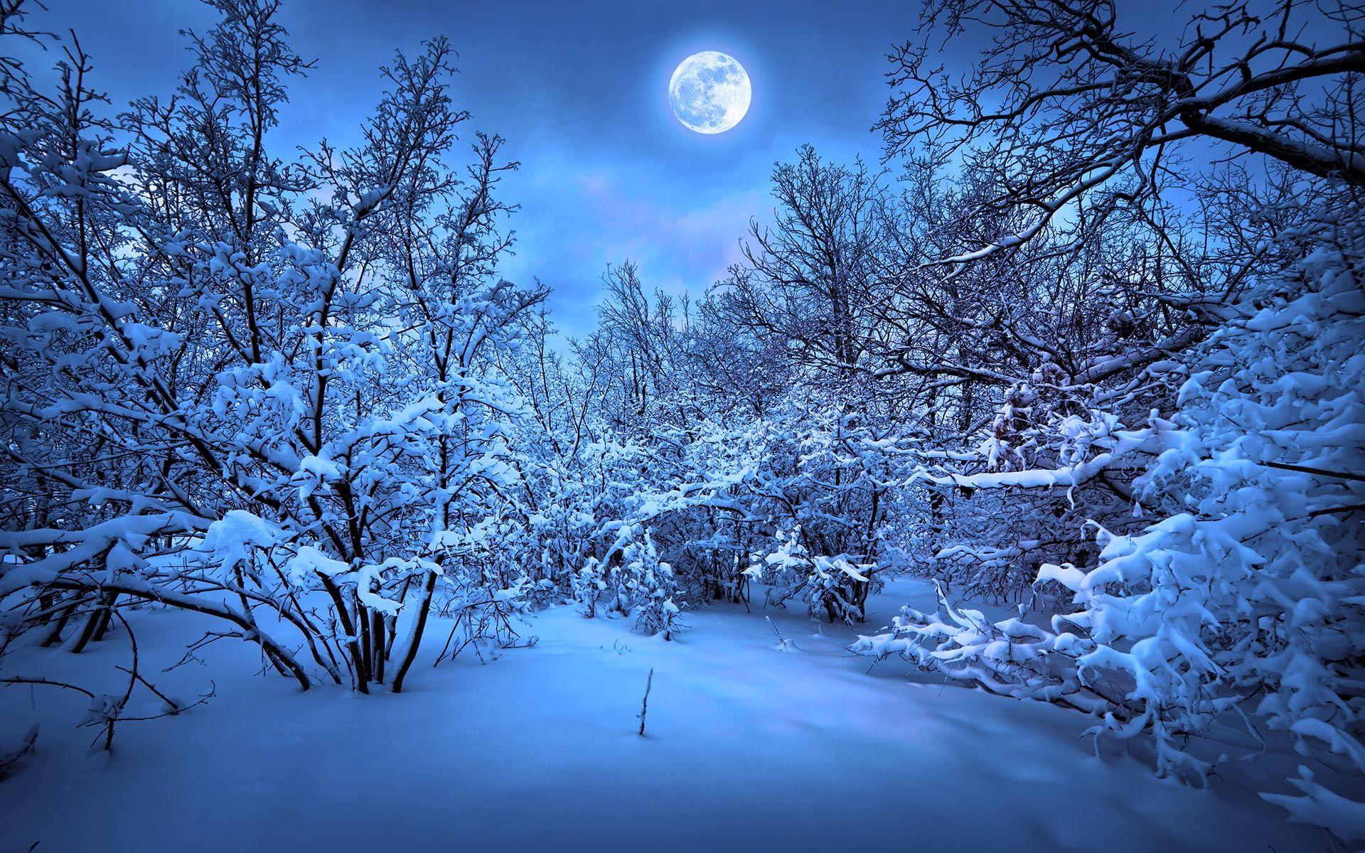 1920x1200 Snow HD Wallpaper