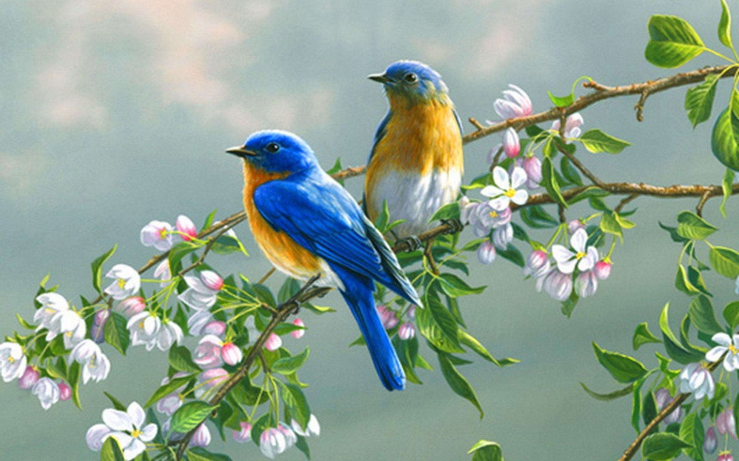 2560x1600 Big Bird Wallpaper. Big Floral