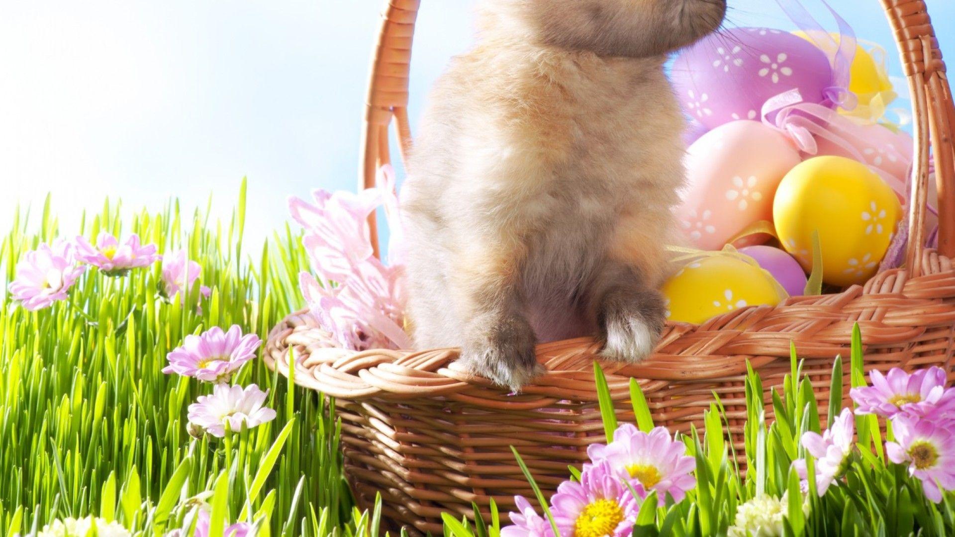 1920x1080 Easter Wallpaper. Easter Wallpaper