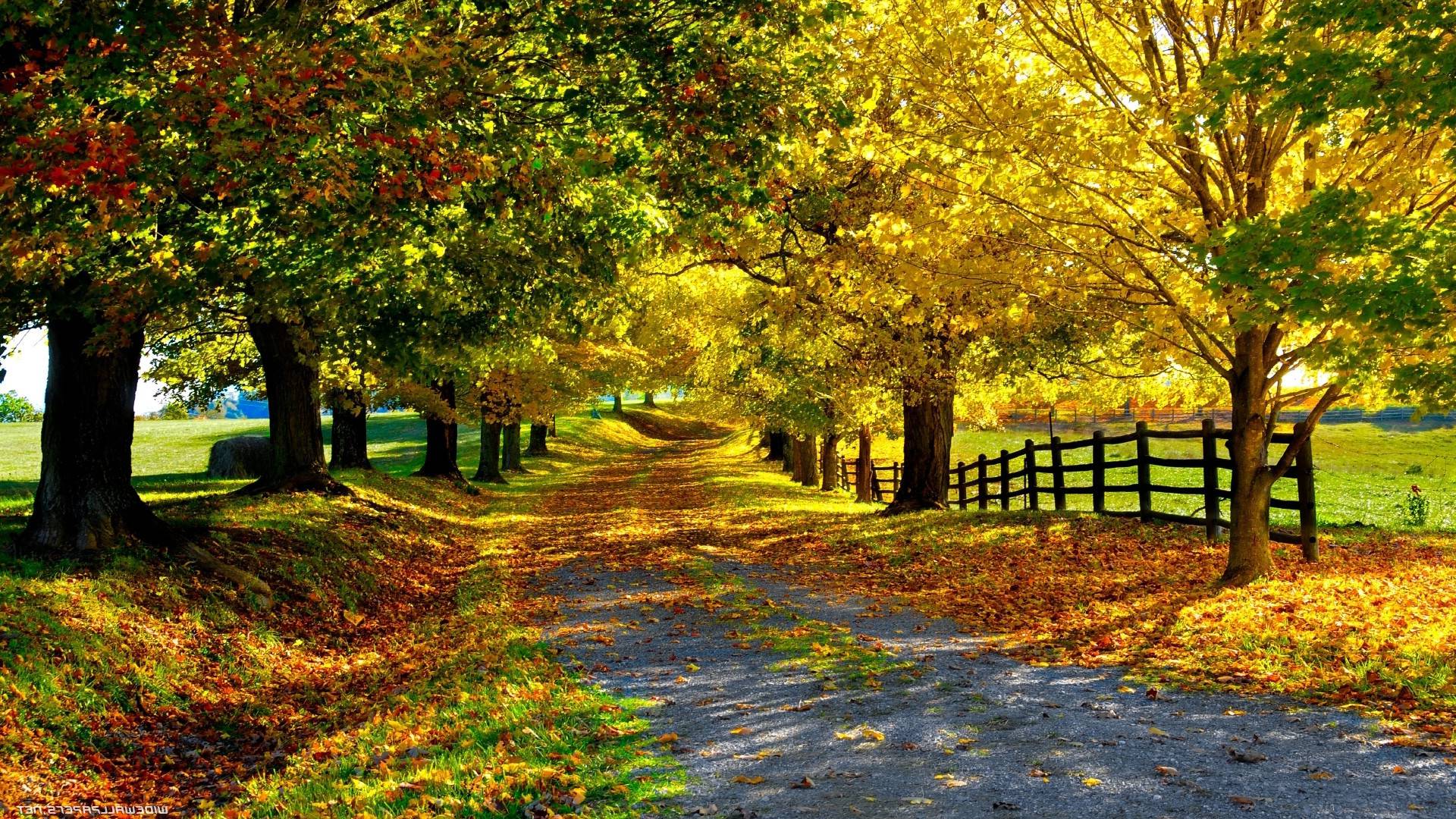 1920x1080 HD Wallpaper Of Nature For Desktop