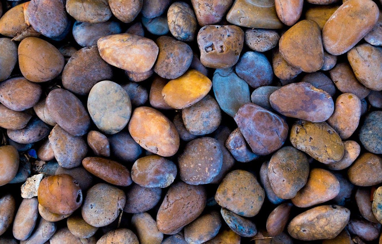 1332x850 Wallpaper beach, pebbles, stones, background, white, white
