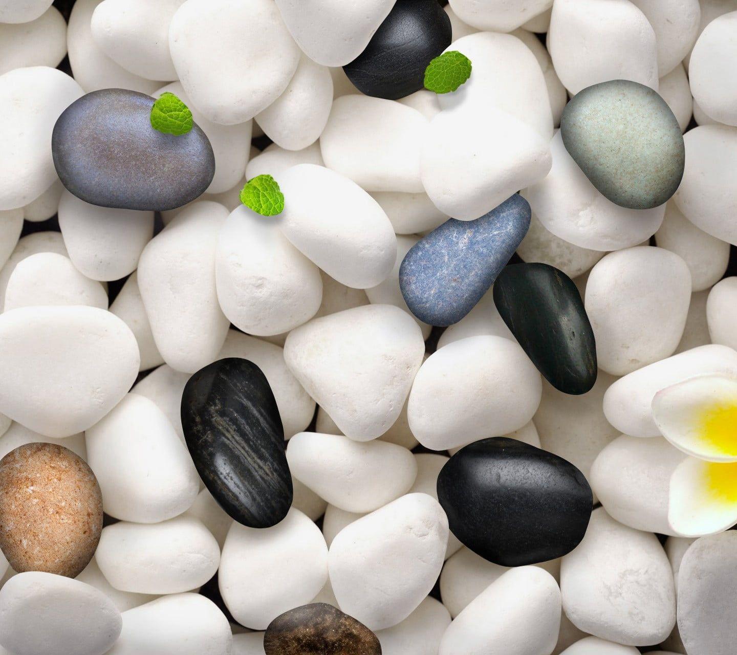 Pebbles Wallpapers - Top Free Pebbles Backgrounds - WallpaperAccess