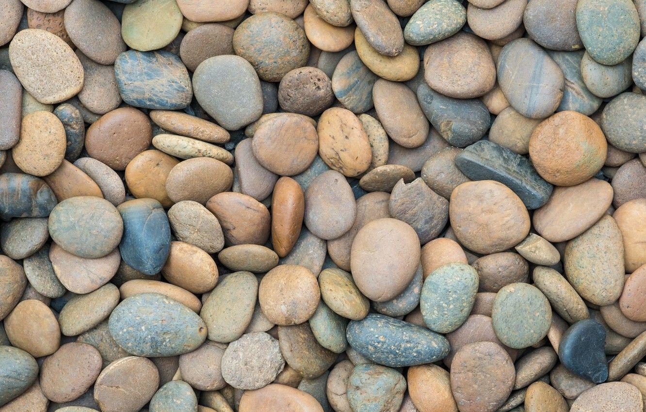 Pebbles Wallpapers - Top Free Pebbles Backgrounds - WallpaperAccess