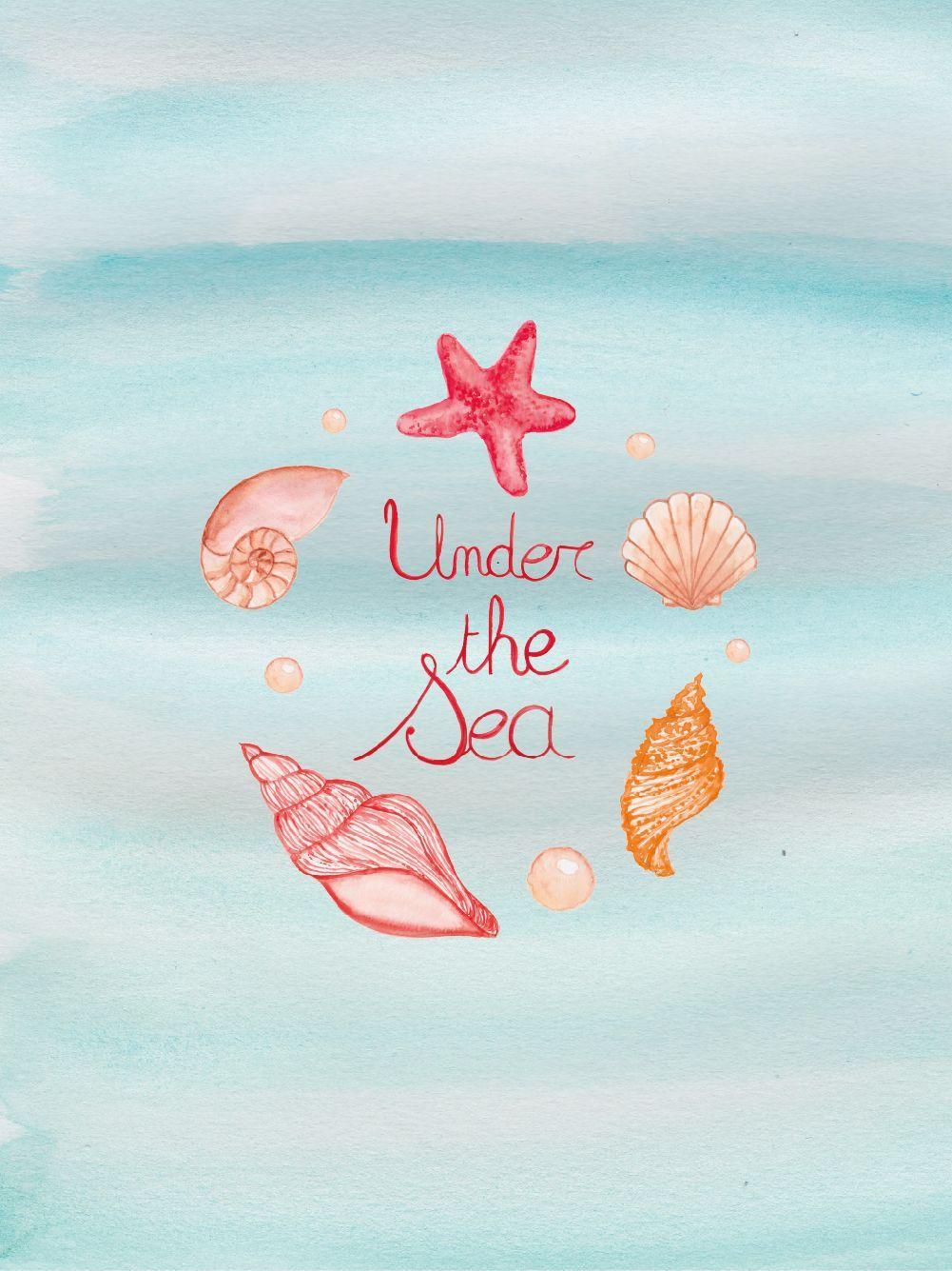 32 Cute Summer Ocean Animals Wallpapers  WallpaperSafari