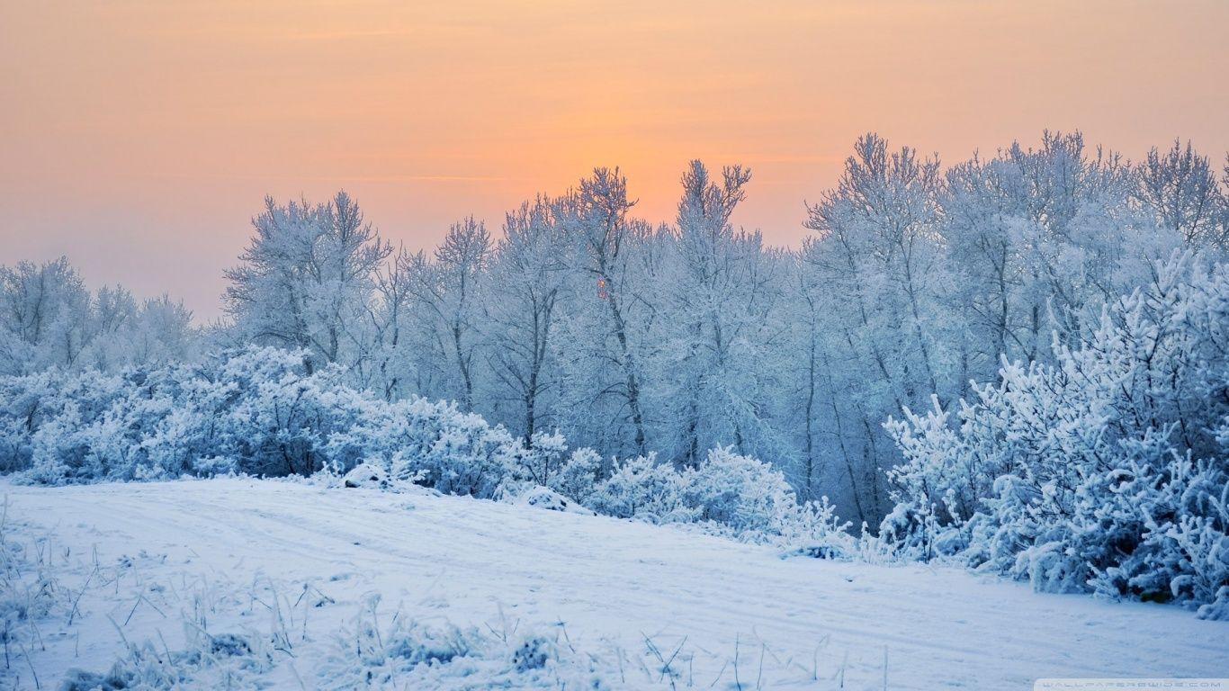1366x768 Winter Snow Wallpaper Desktop