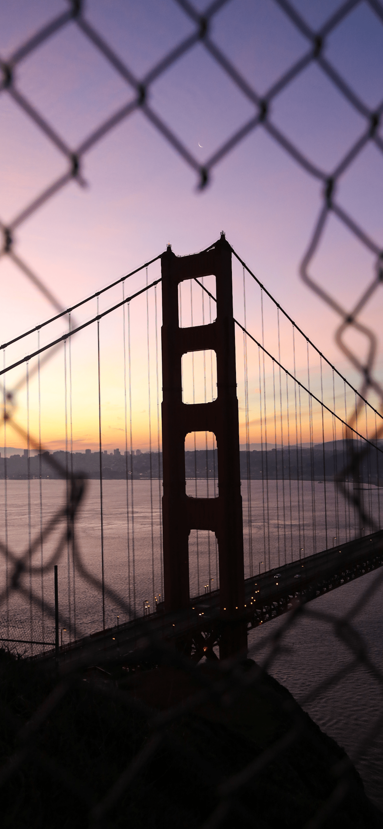 1242x2688 Golden Gate Wallpaper for iPhone X, 6 Download