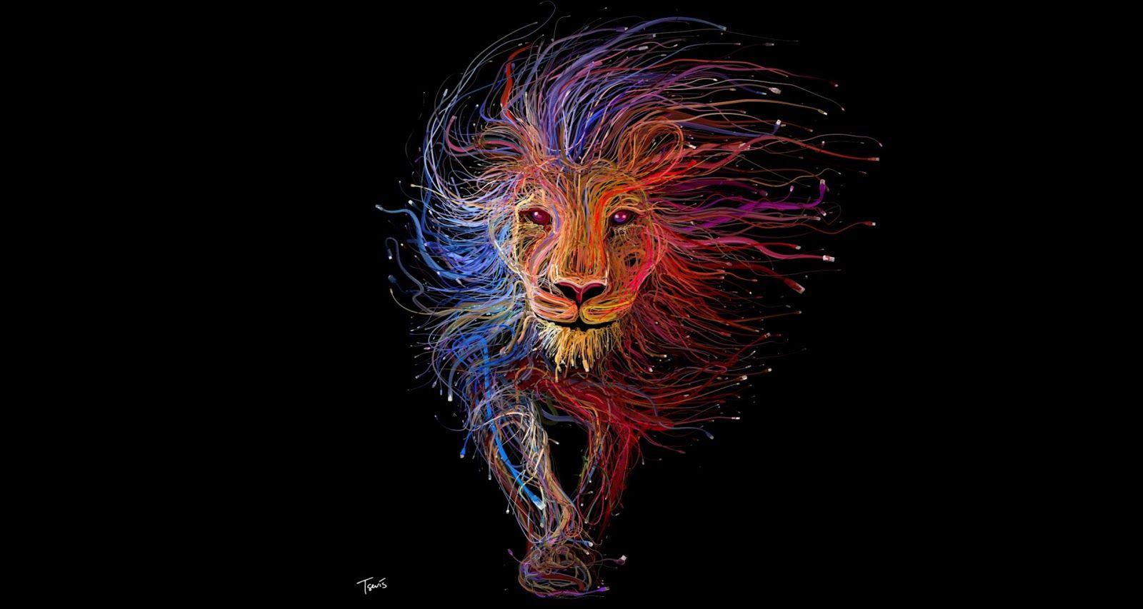 1600x853 Art Wallpaper Lion Image