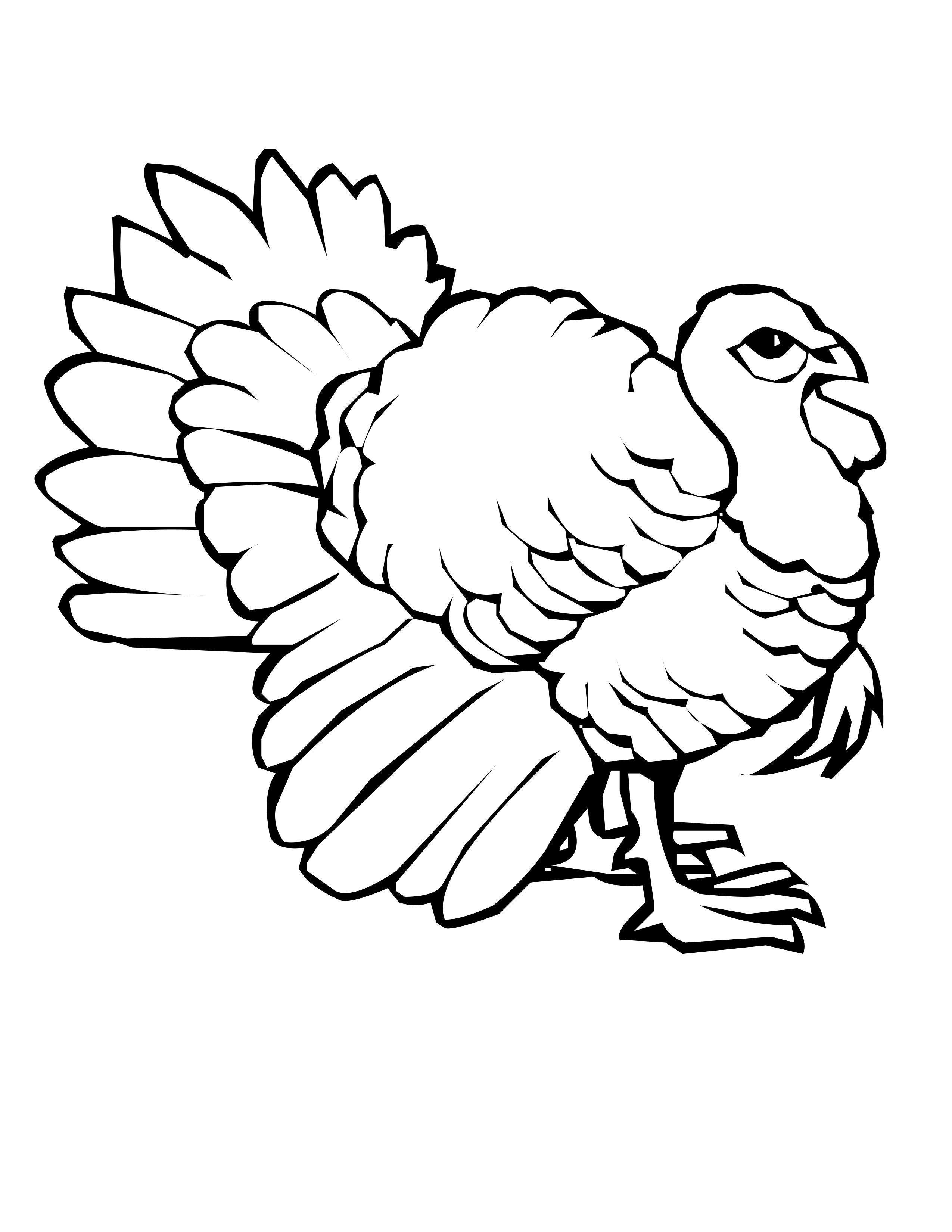 2550x3300 Turkey Bird