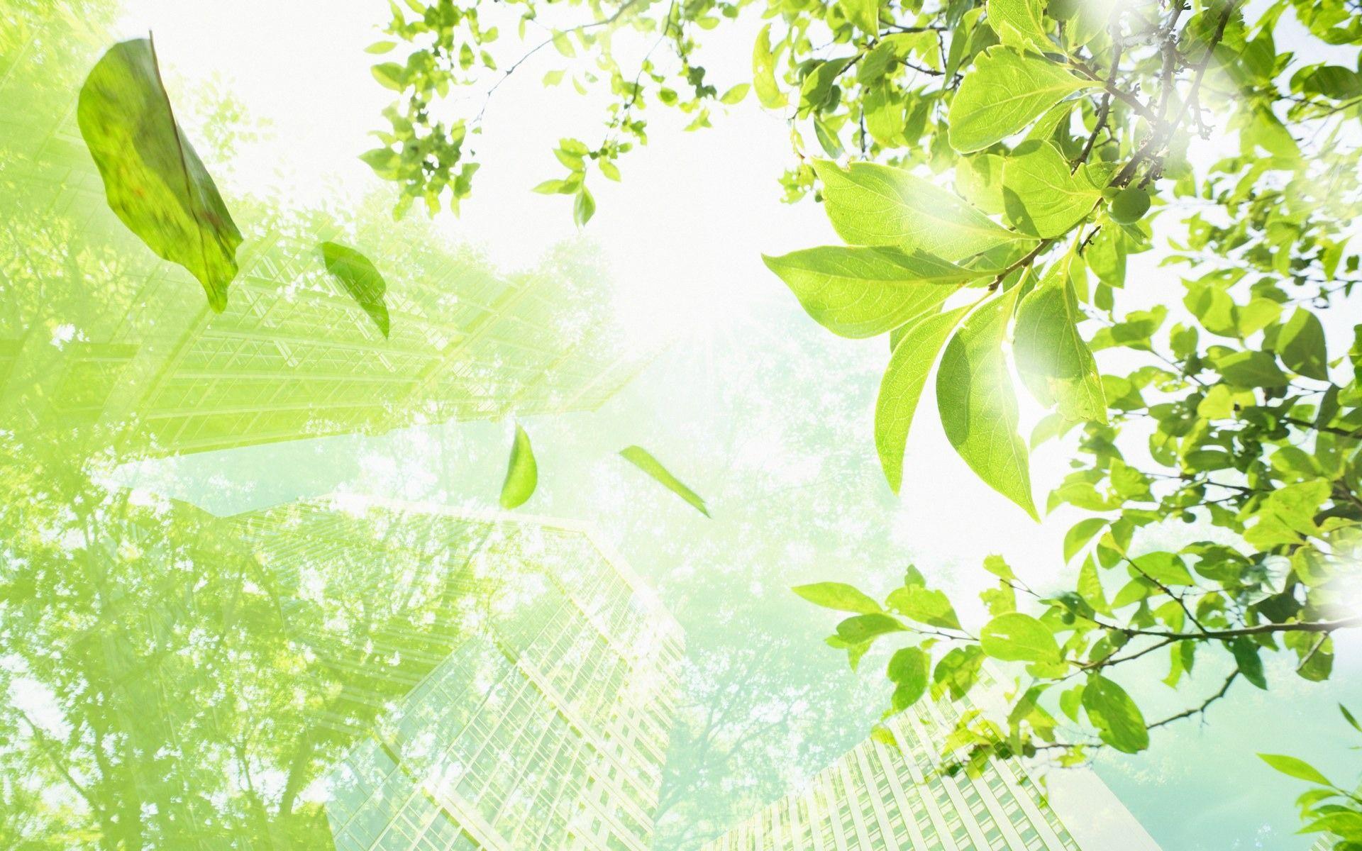 Eco wallpaper обои