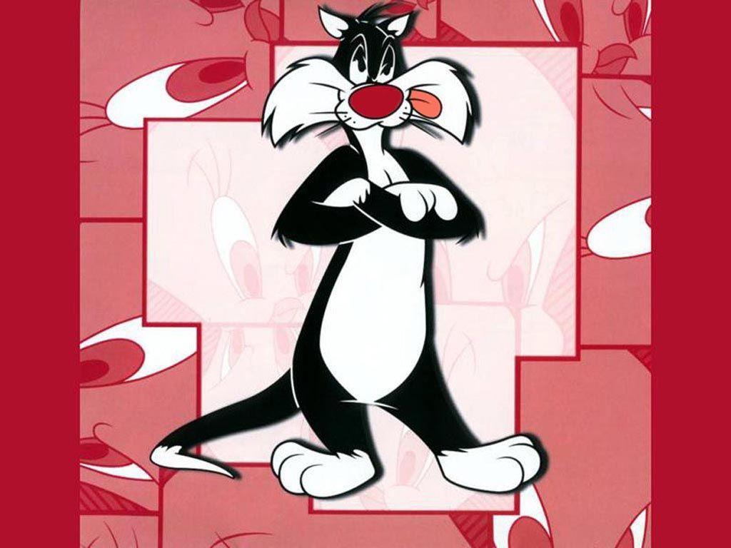 1024x768 Sylvester Wallpaper HD 26562