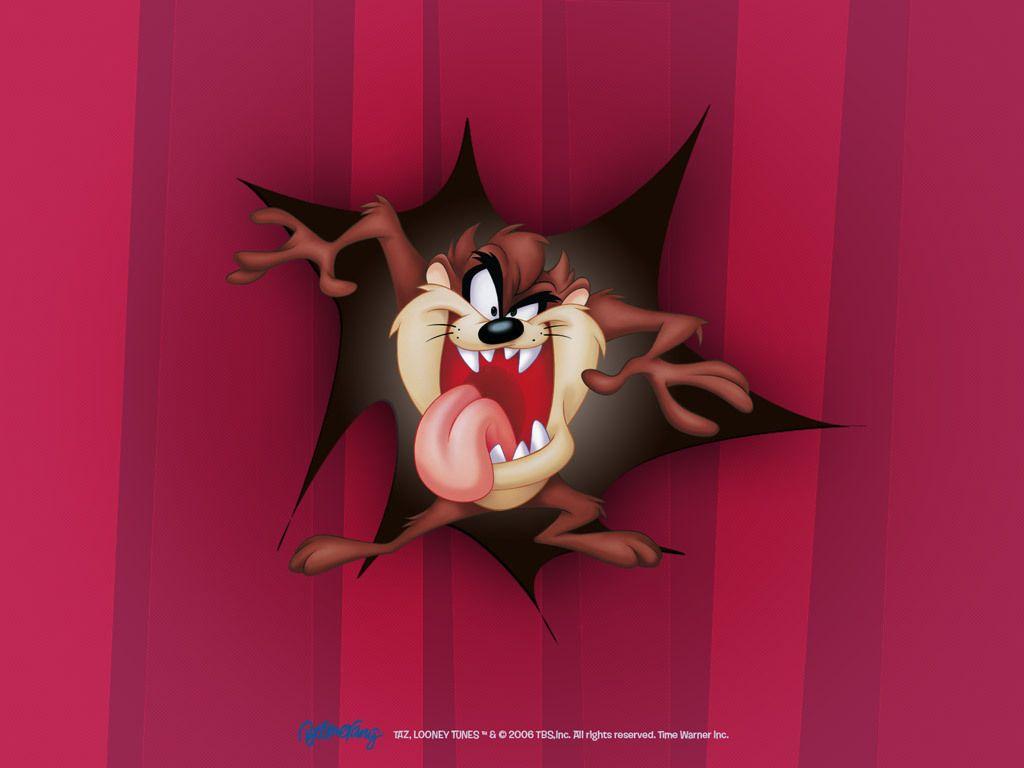 Taz Wallpapers - Top Free Taz Backgrounds - WallpaperAccess