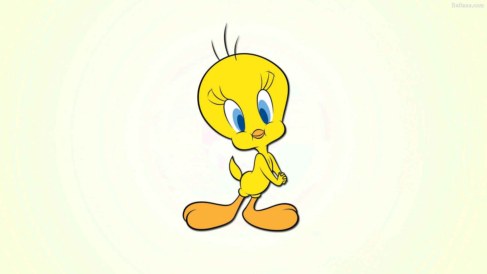 Tweety Wallpapers - Top Free Tweety Backgrounds - WallpaperAccess