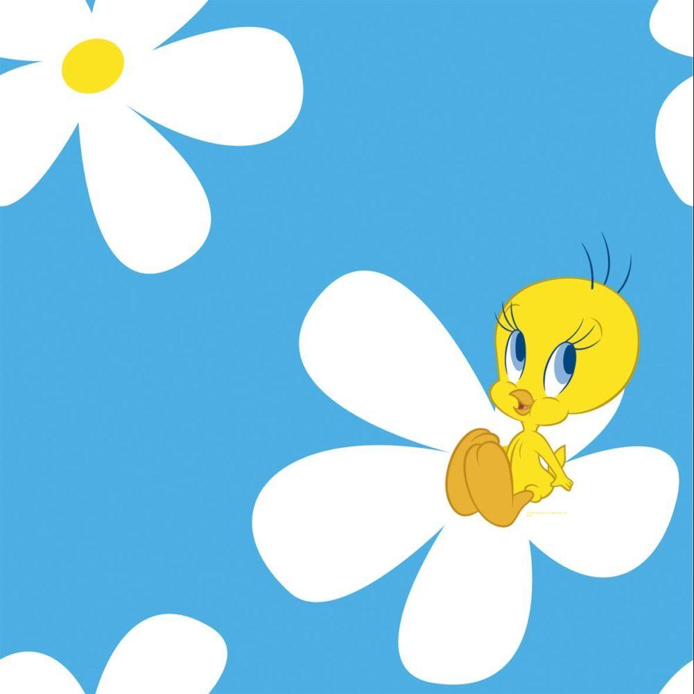 1001x1001 Tweety Wallpaper 4K (1001x1001)