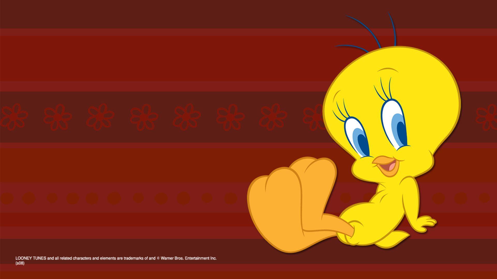 Tweety Wallpapers - Top Free Tweety Backgrounds - WallpaperAccess — free download
