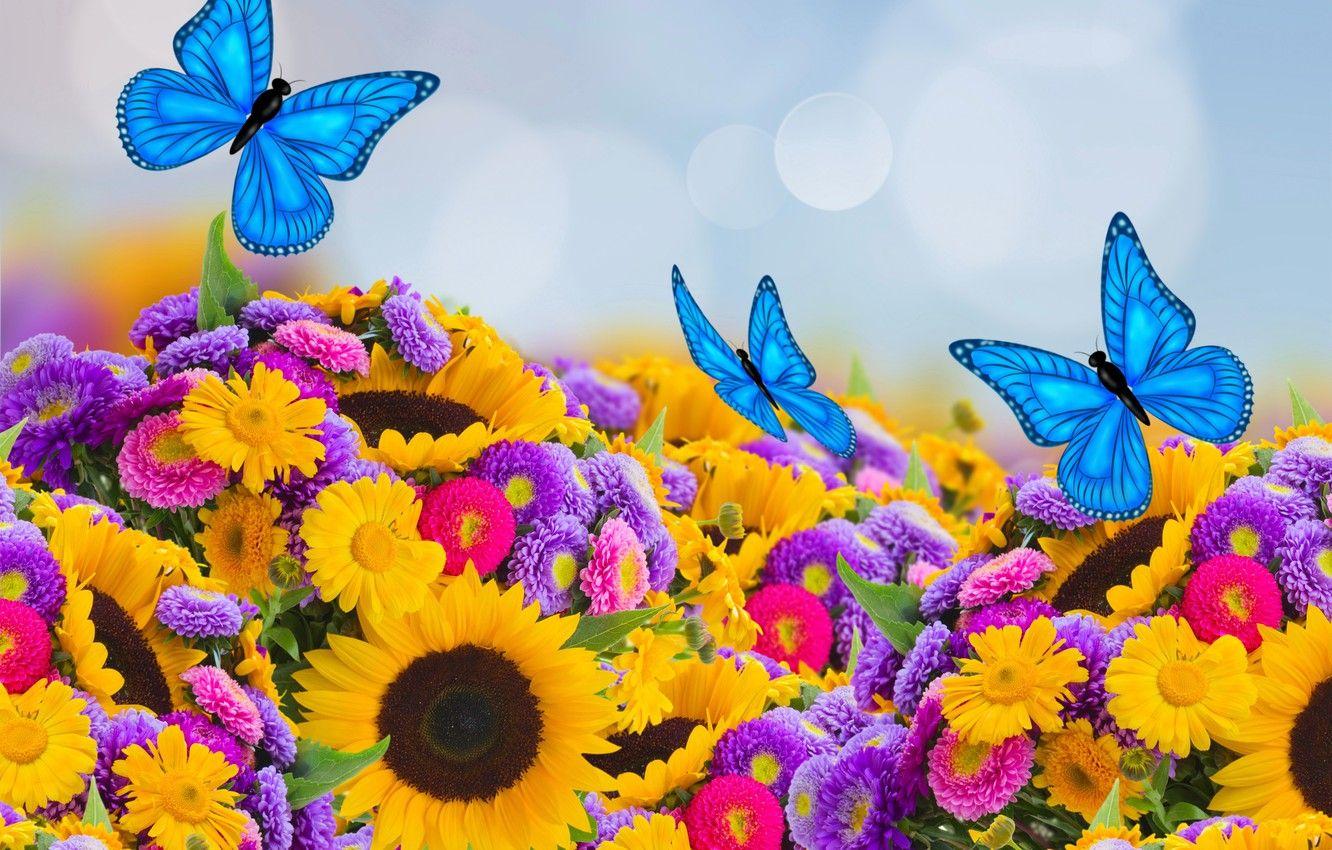 Colorful Sunflower Wallpapers - Top Free Colorful Sunflower Backgrounds 