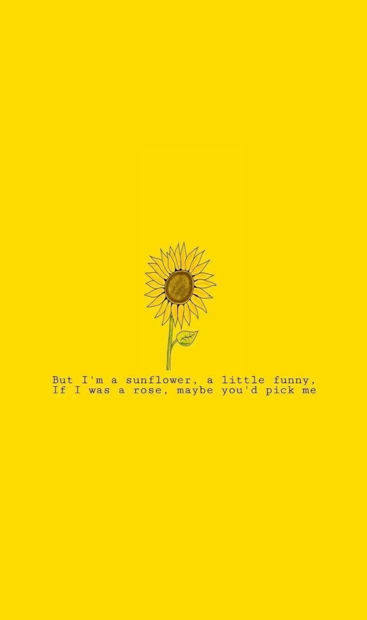 Yellow Aesthetic Quotes Wallpapers Top Free Yellow Aesthetic