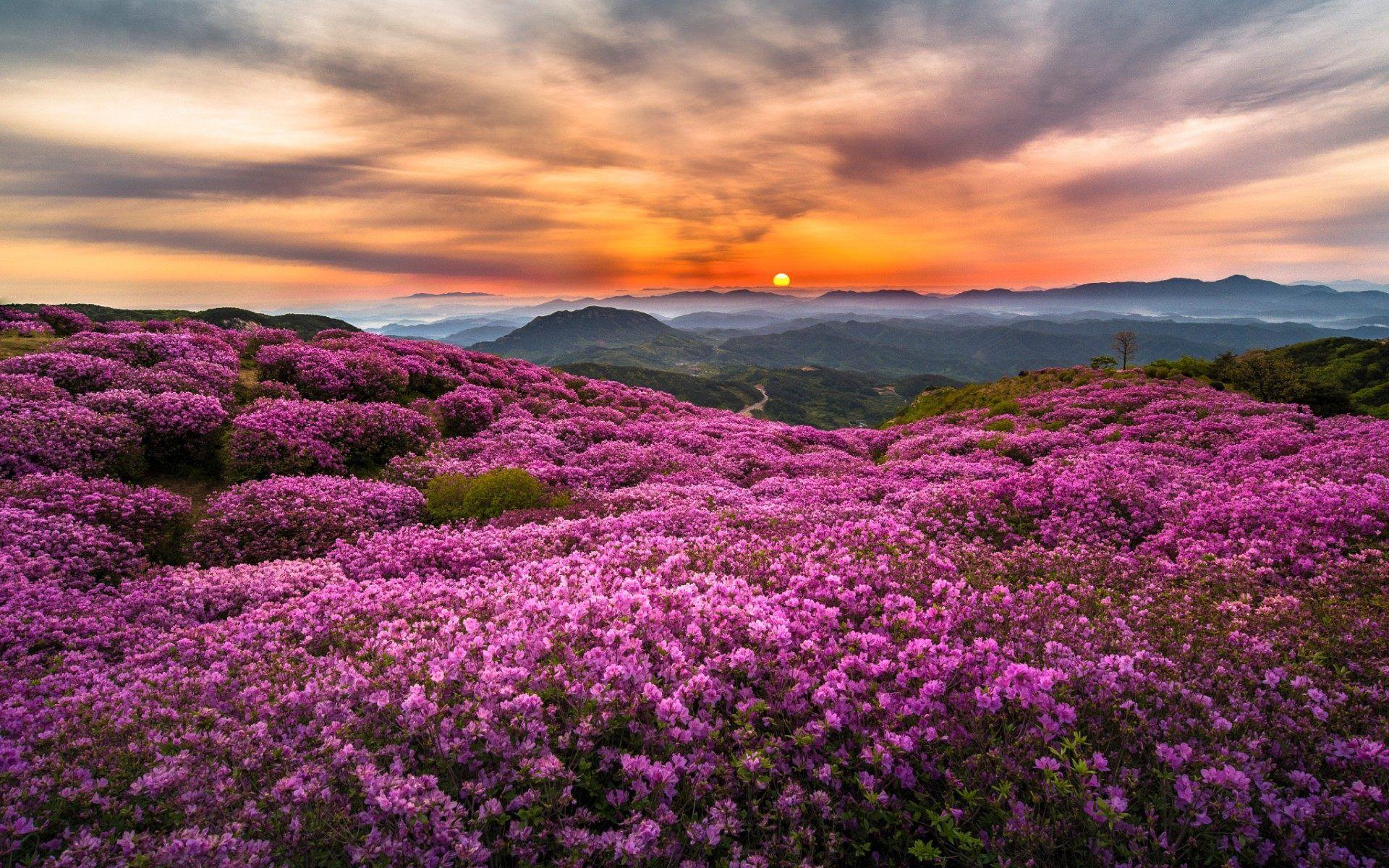 1920x1200 Amazing Landscape Wallpaper Full HD X px. HD Wallpaper