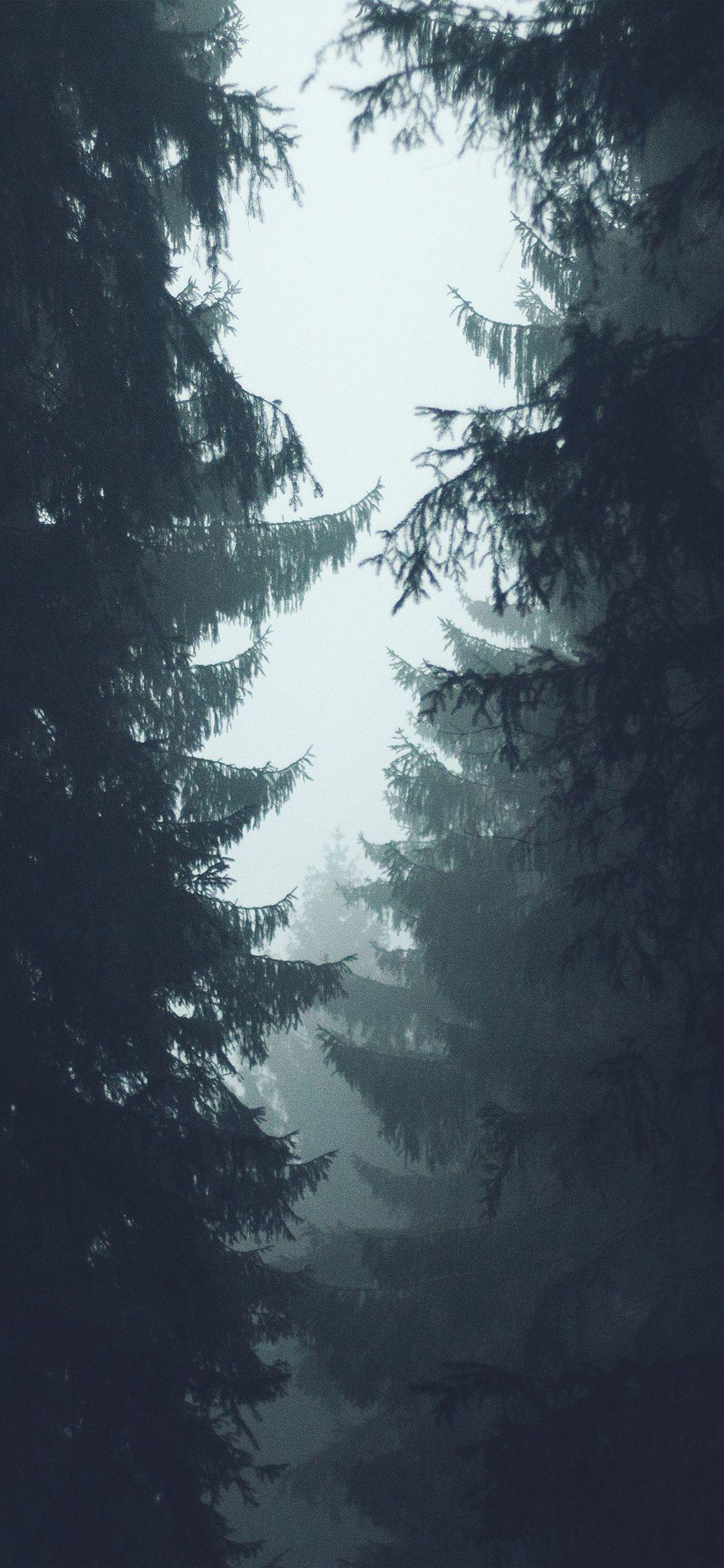 1125x2436 iPhone X wallpaper. wood tree
