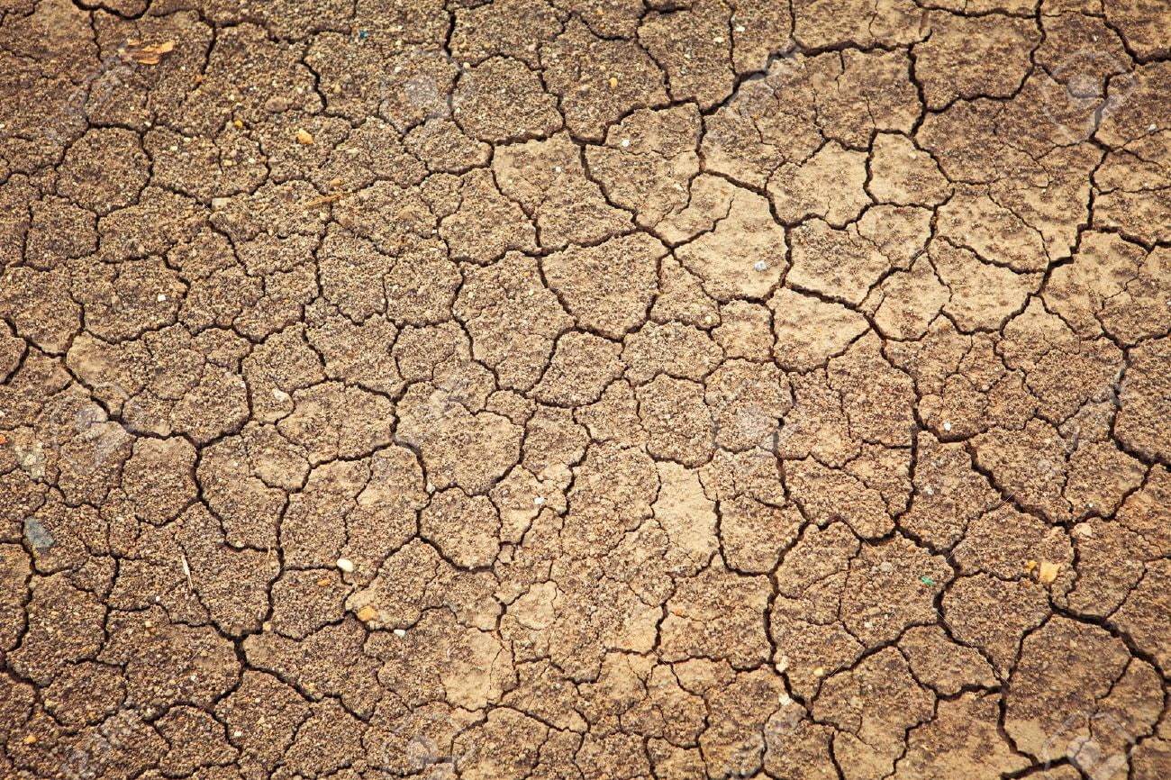 1300x866 Texture Template Dry Dirt Wallpaper