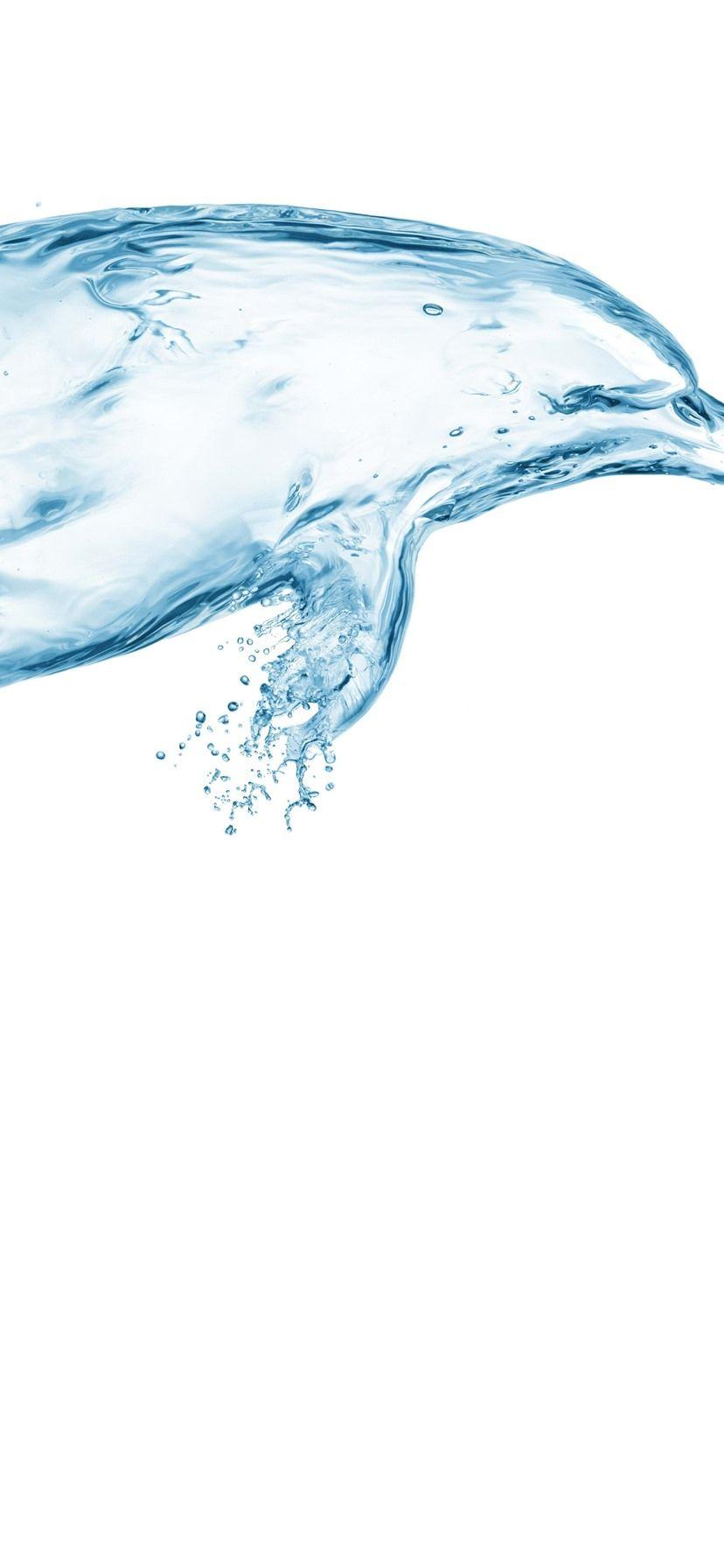 828x1792 Water dolphin, creative design, white background 1242x2688