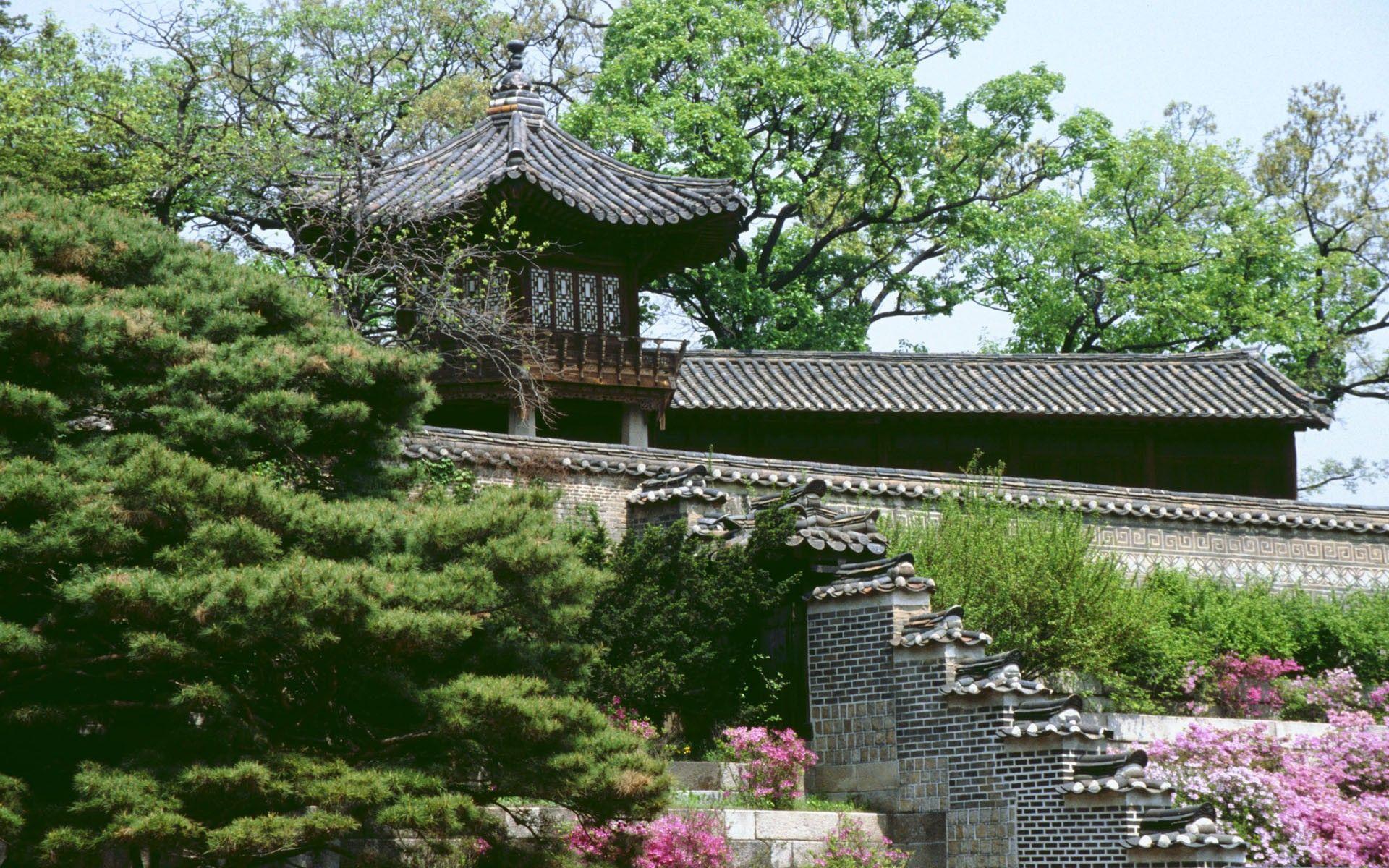 1920x1200 Korea wallpaperx1200