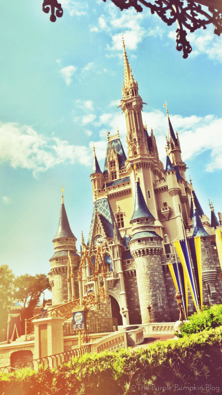 Disney World Wallpapers Top Free Disney World Backgrounds