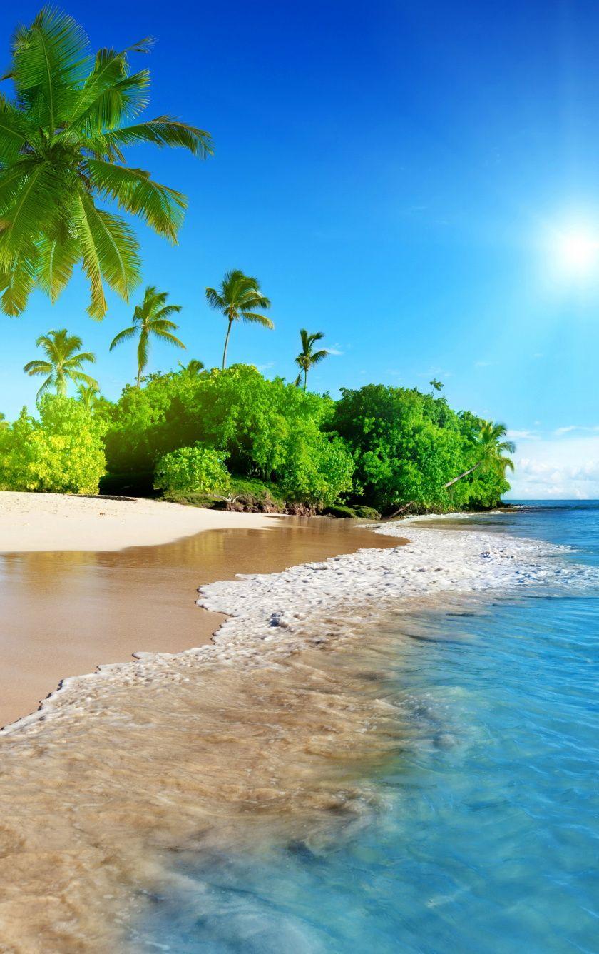 840x1336 Download 840x1336 wallpaper tropical beach, sea, calm, sunny day, holiday, iphone iphone 5s, iphone 5c, ipod touch, 840x1336 HD image, background, 7041