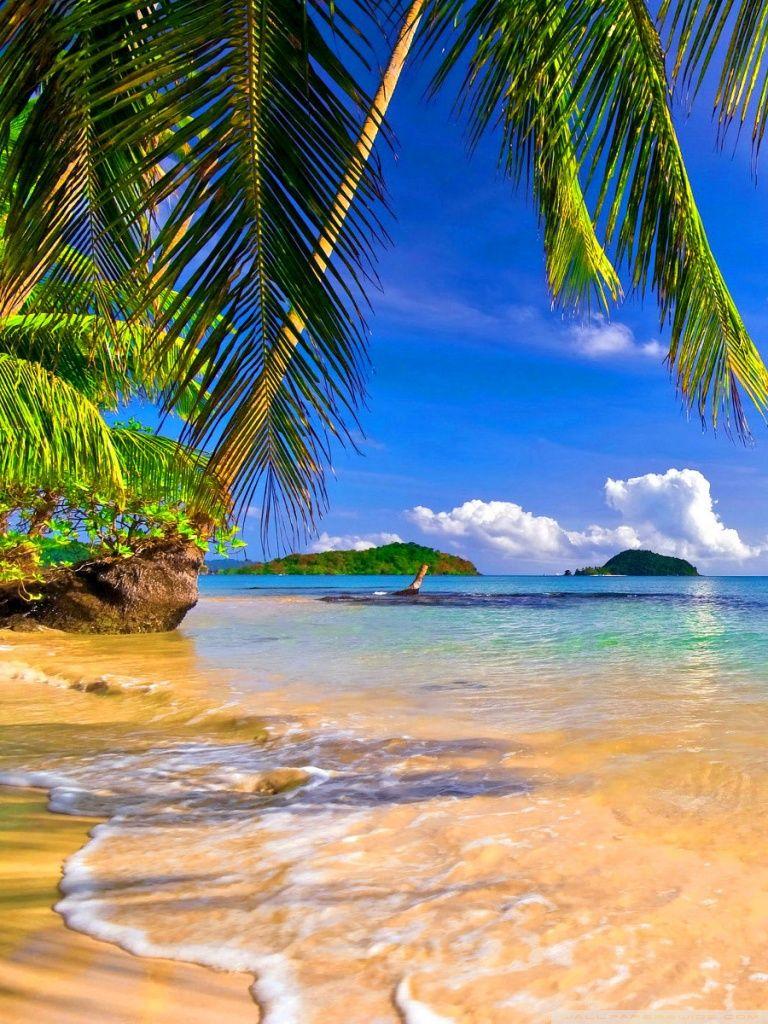 Beach Tropical iPhone Wallpapers - Top Free Beach Tropical iPhone ...