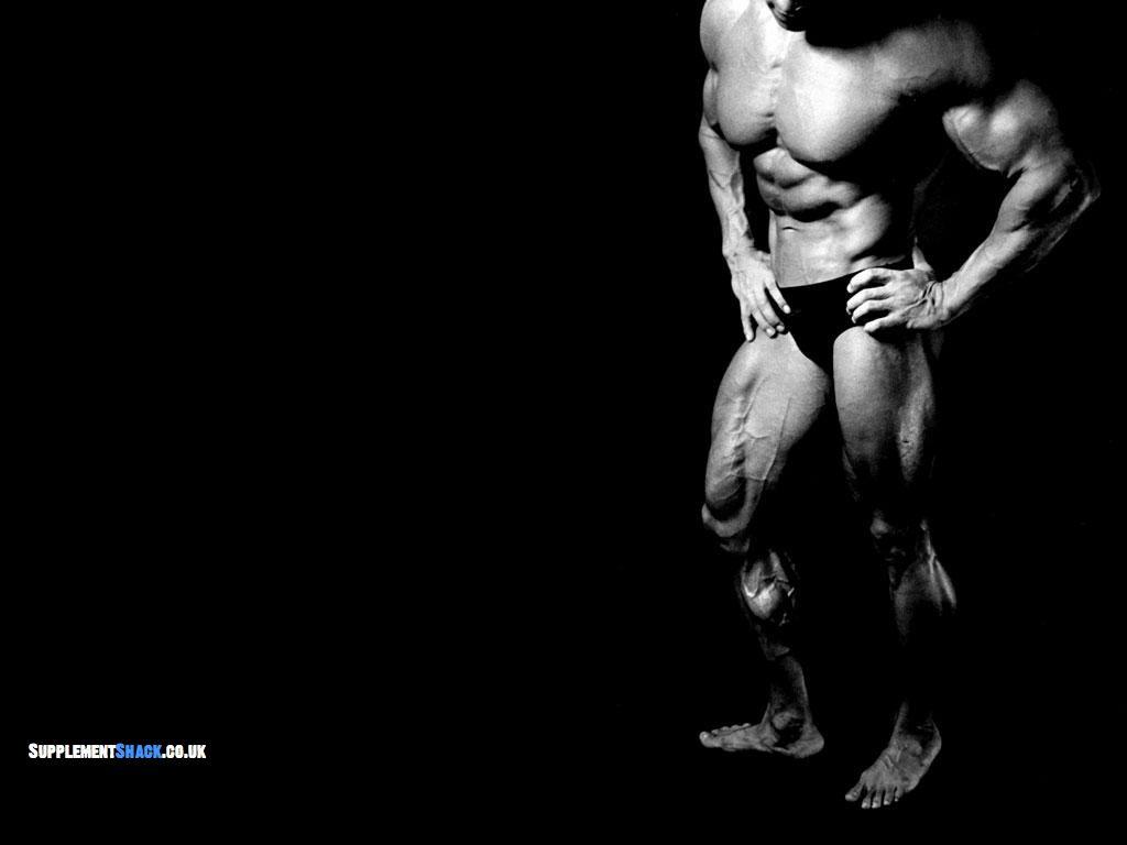 1024x768 Free download Arnold Schwarzenegger Conquer [1024x768] for your Desktop, Mobile & Tablet. Explore Arnold Schwarzenegger iPhone Wallpaper. Arnold Schwarzenegger iPhone Wallpaper, Arnold Schwarzenegger Wallpaper, Arnold Schwarzenegger Wallpaper