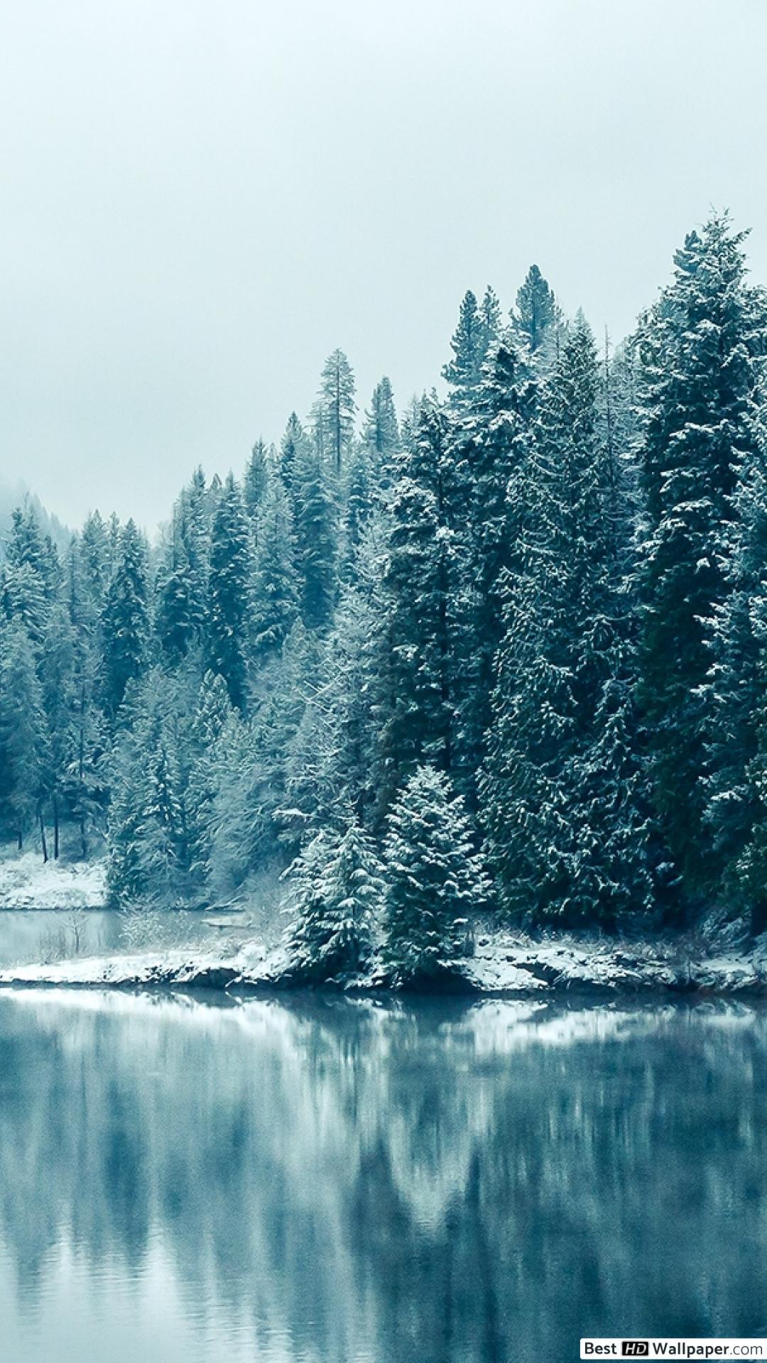 1080x1920 Winter is Coming Here HD wallpaper download