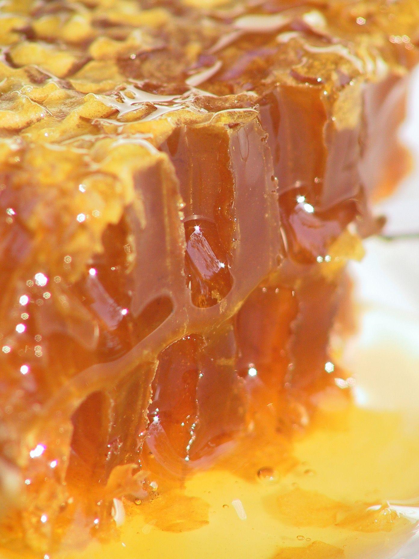 Honey iPhone Wallpapers Top Free Honey iPhone Backgrounds