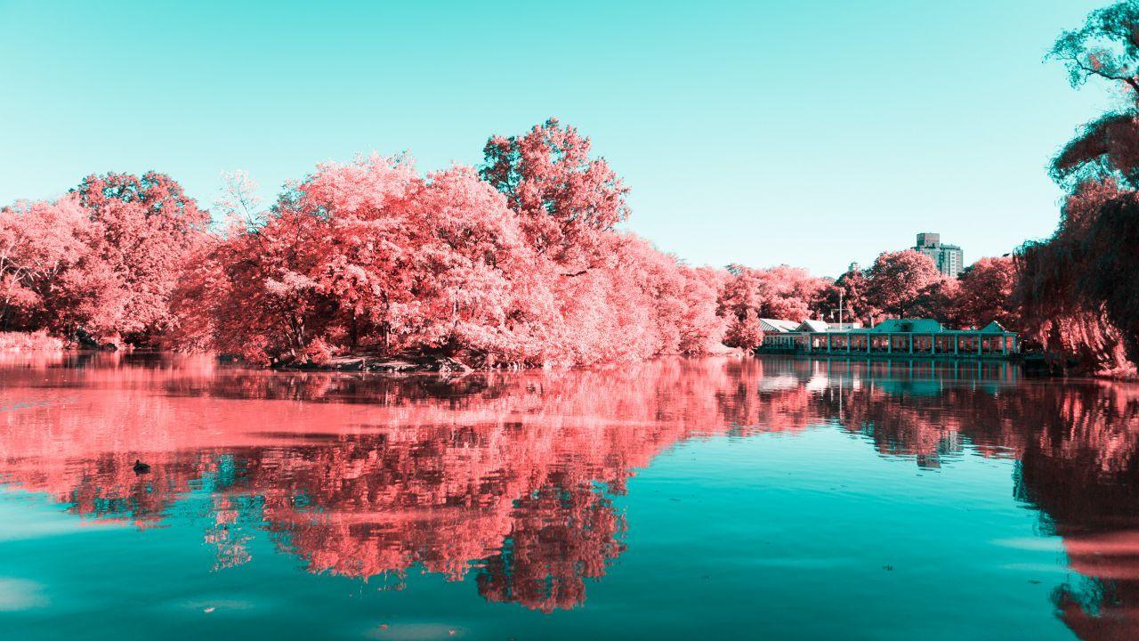 1280x720 Wallpaper Central Park, Manhattan, New York City, 4K