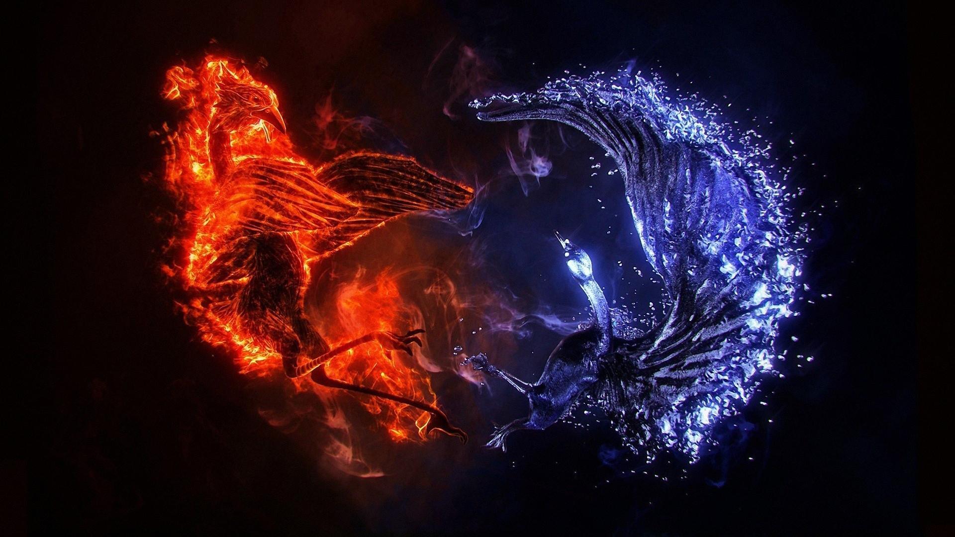 1920x1080 Stunning Fire And Ice Phoenix Wallpaper image For Free