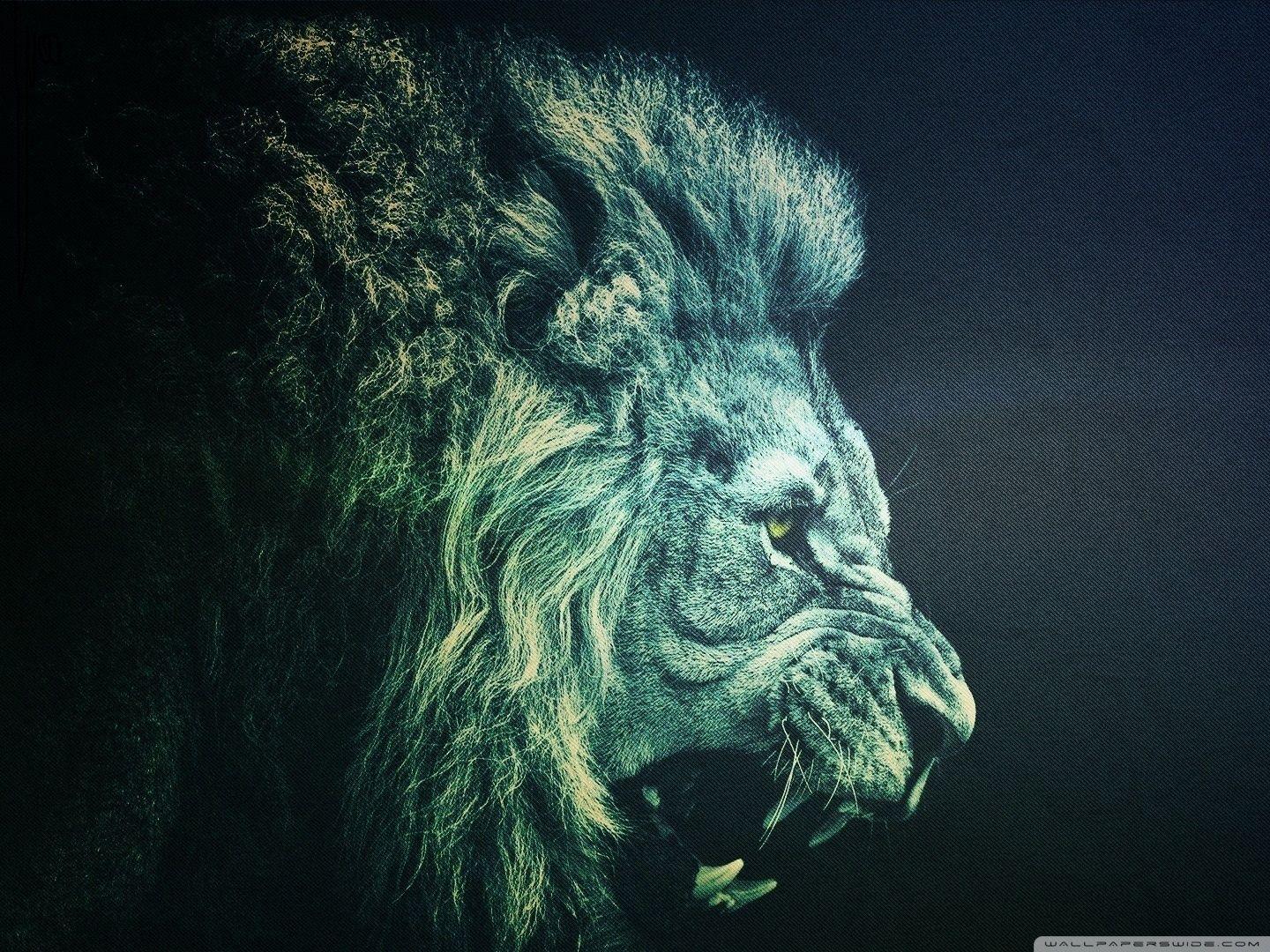 Abstract Lion HD Wallpapers Top Free Abstract Lion HD Backgrounds WallpaperAccess