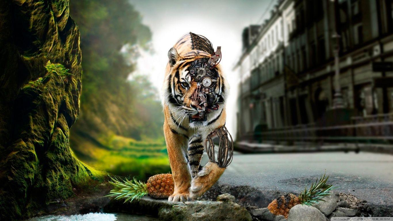 1366x768 Hd Amazing Wallpaper