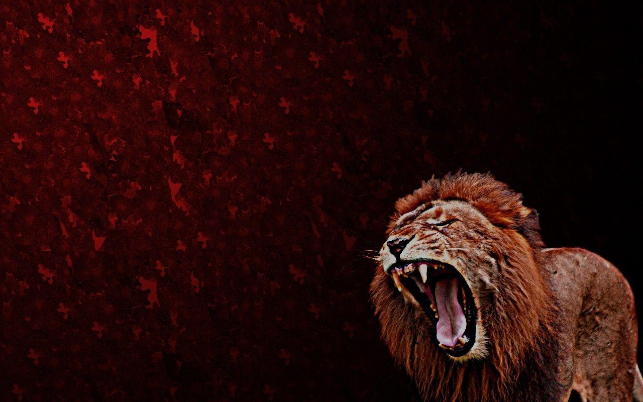 Abstract Lion HD Wallpapers - Top Free Abstract Lion HD Backgrounds - WallpaperAccess