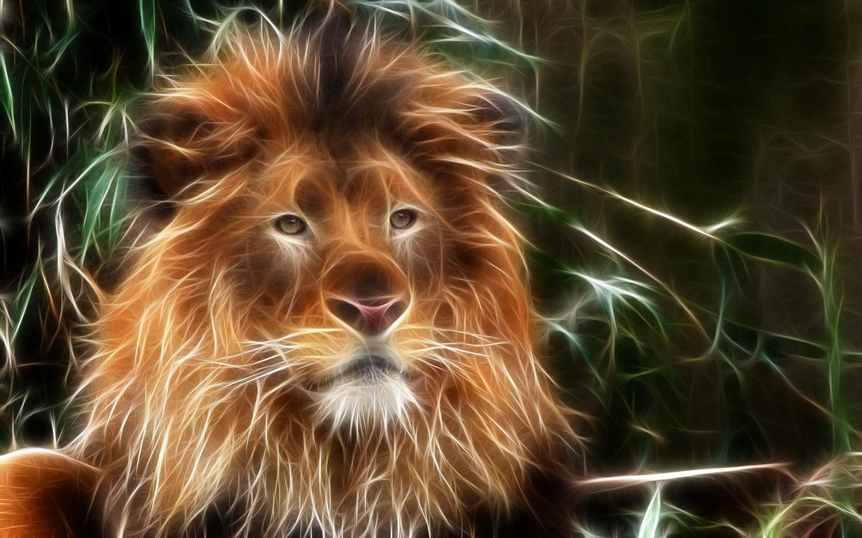 1680x1050 3D Lion HD Background Wallpaper 22741
