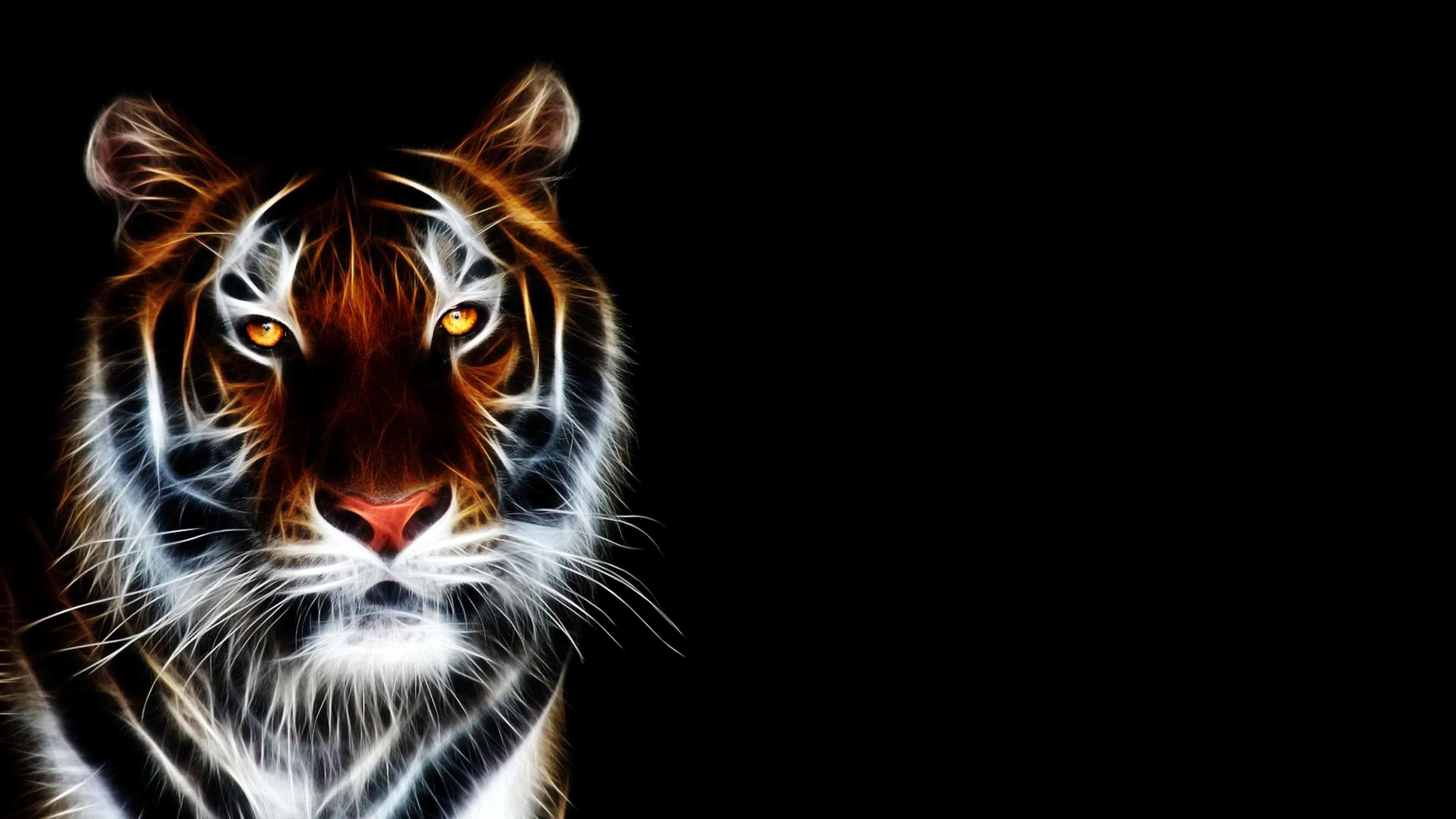 3840x2160 Cool Wallpaper of Tigers